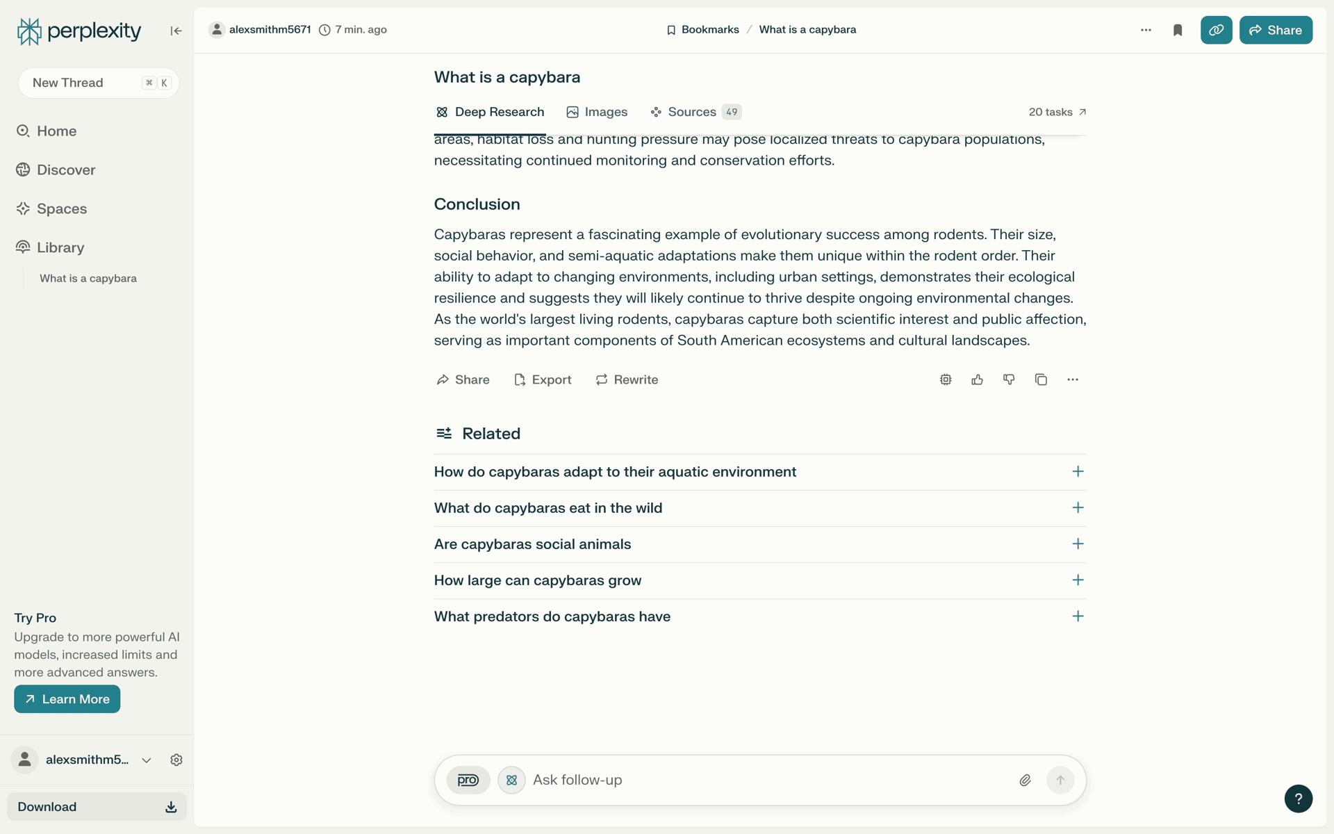 Perplexity Web AI interface screenshot 24