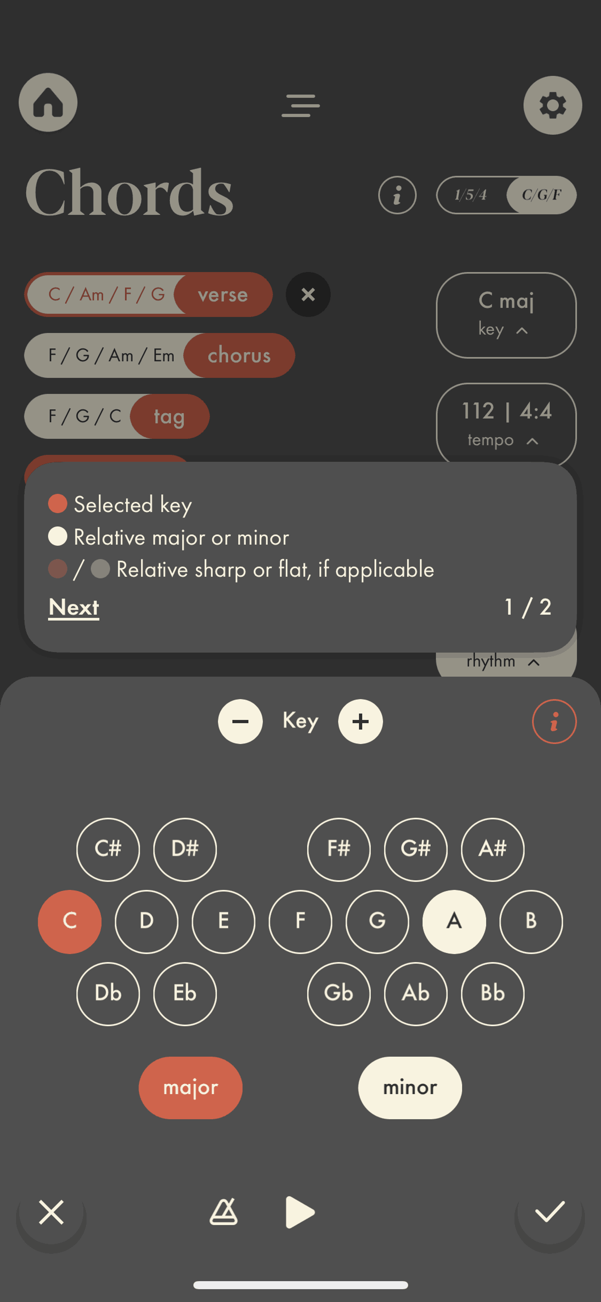 Demo iOS Music & Audio interface screenshot 10