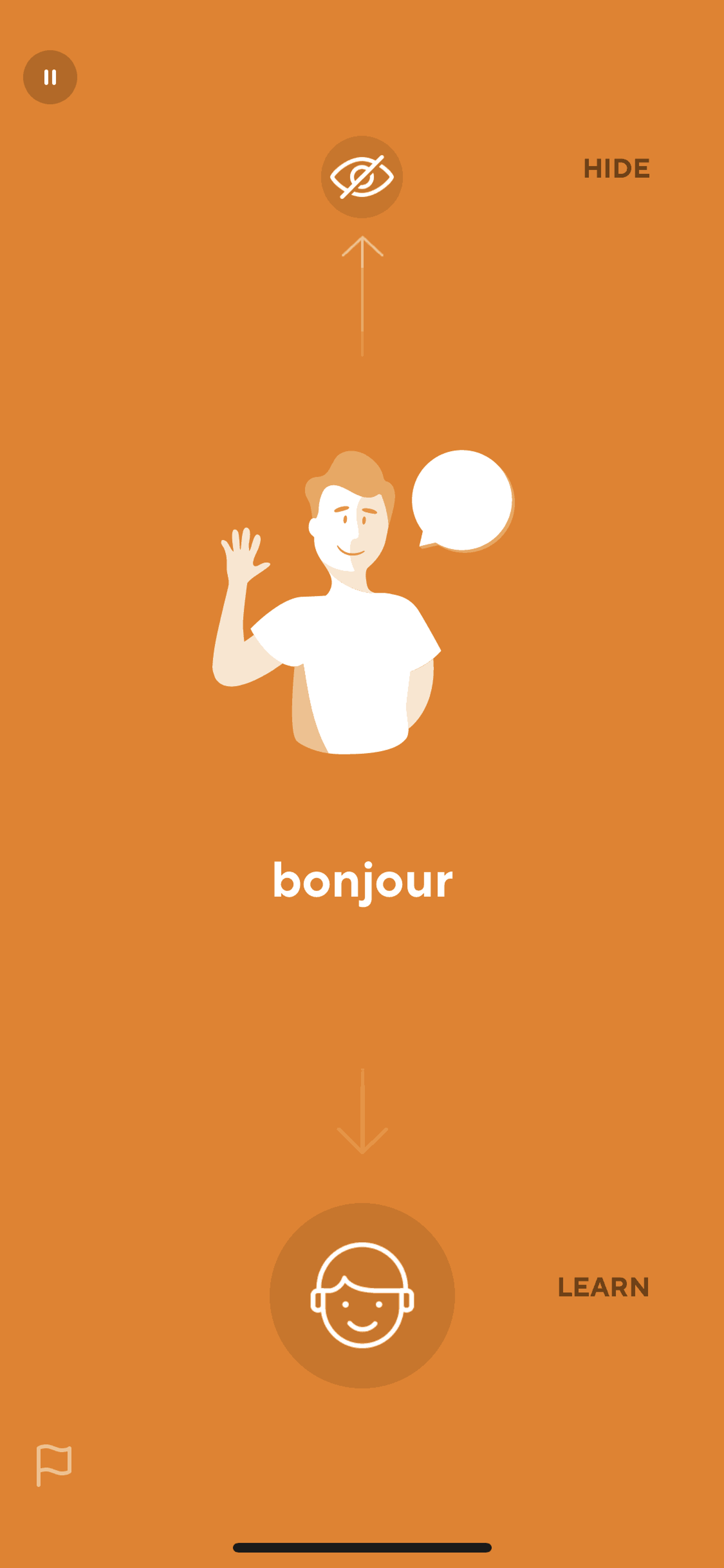 Drops iOS Education interface screenshot 5