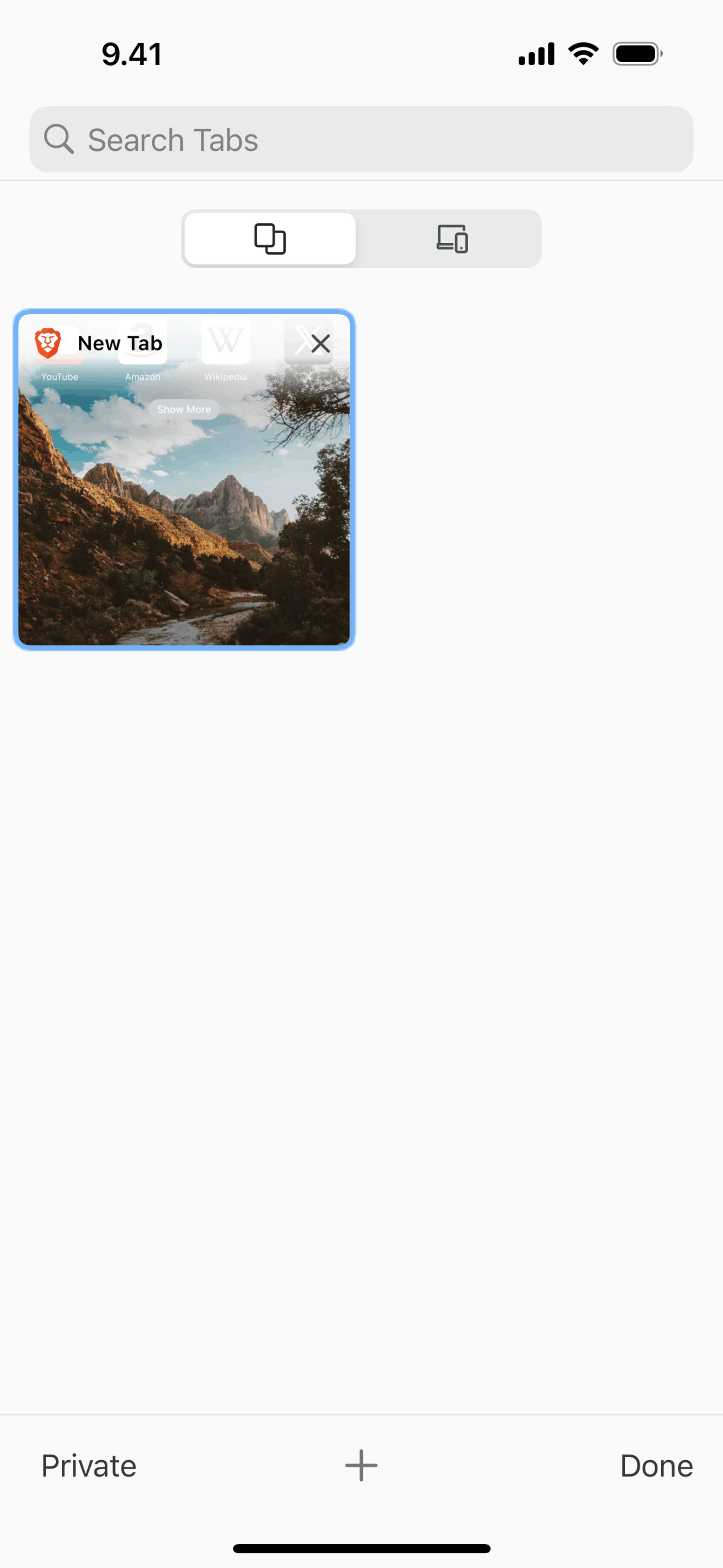 Brave Browser iOS Utilities interface screenshot 18