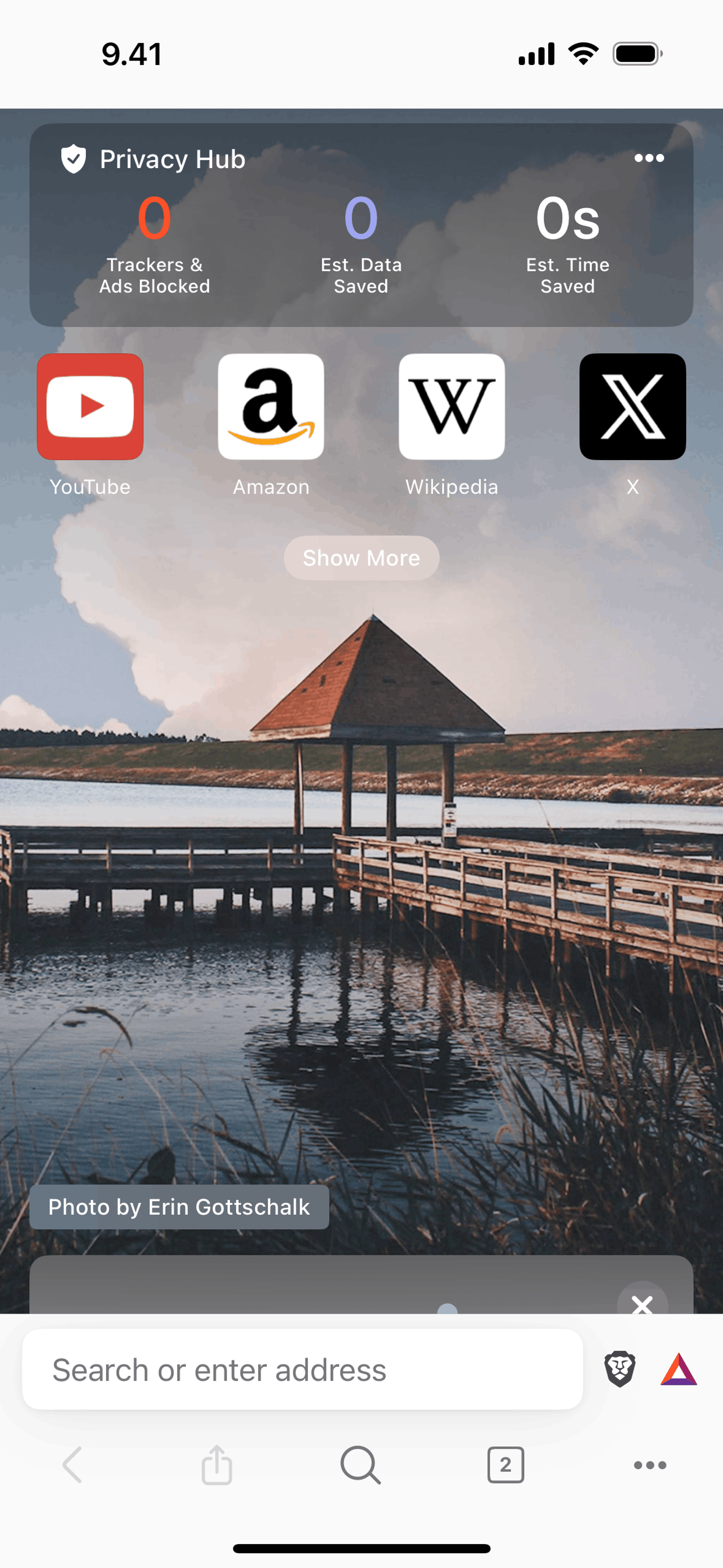 Brave Browser iOS Utilities interface screenshot 20