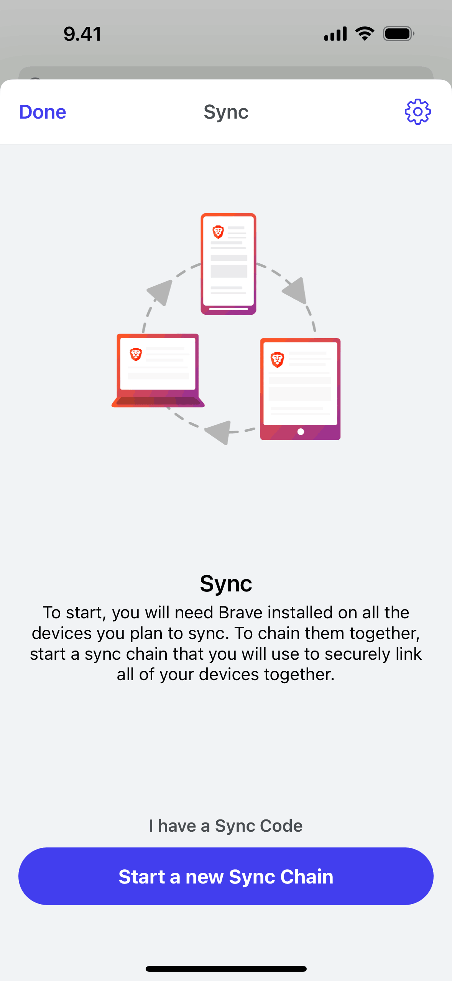 Brave Browser iOS Utilities interface screenshot 21