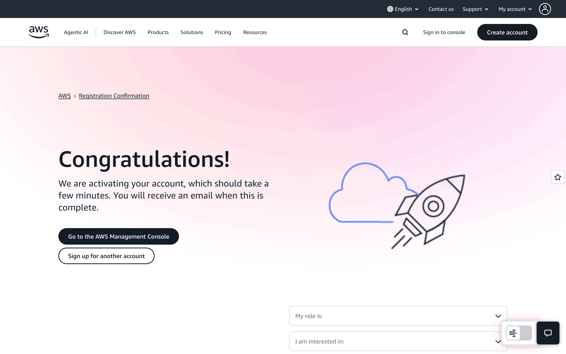 Amazon Web Services (AWS) Web Developer Tools interface screenshot 20