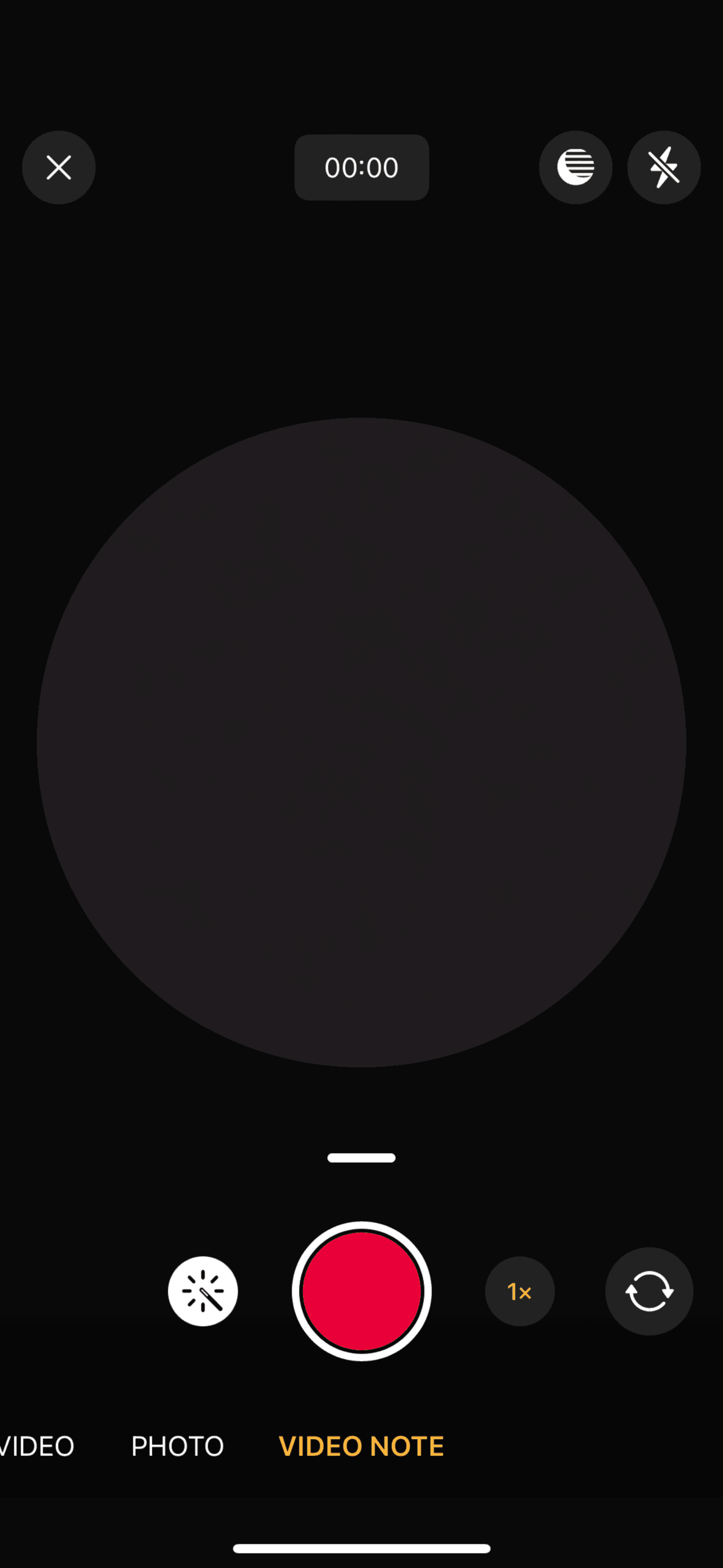 WhatsApp iOS Social Networking interface screenshot 13
