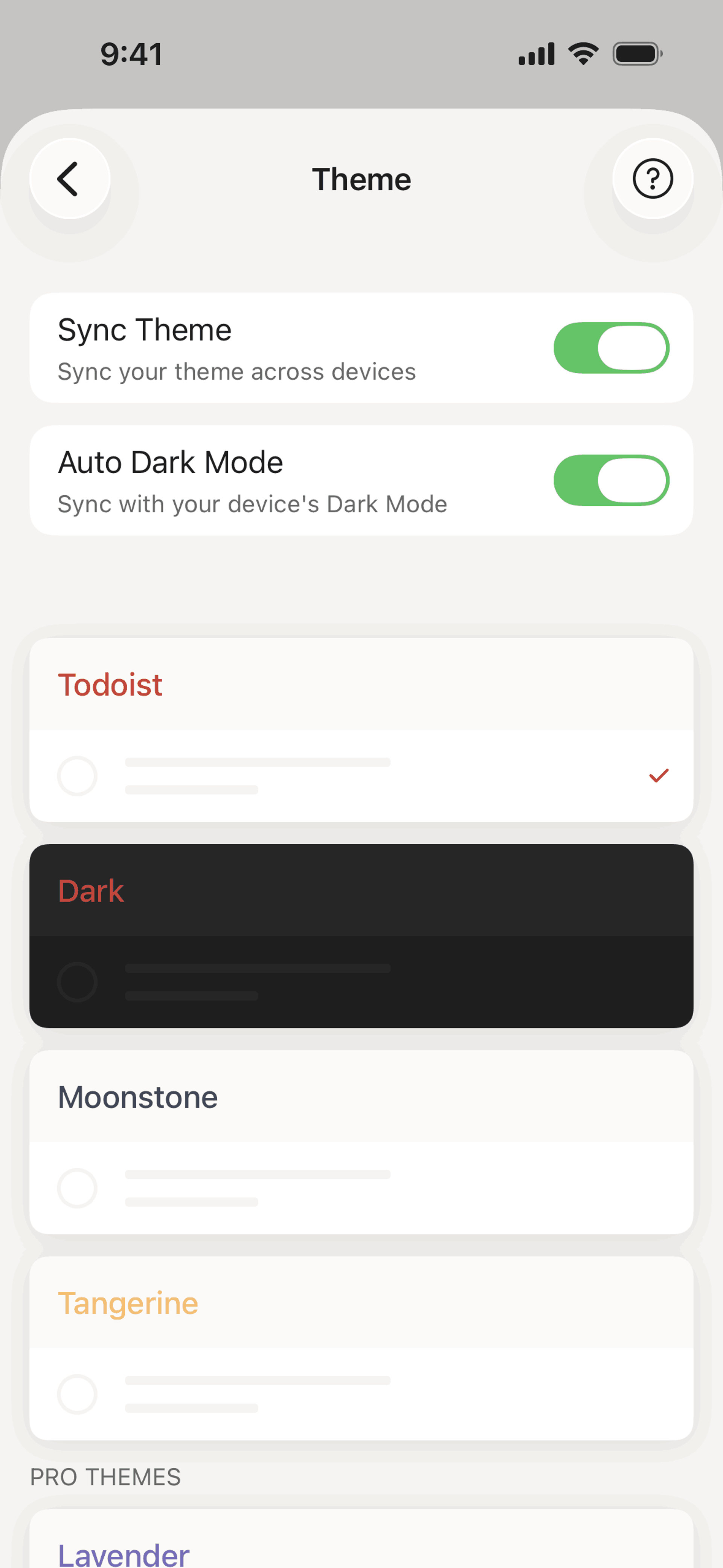 Todoist iOS Collaboration interface screenshot 21