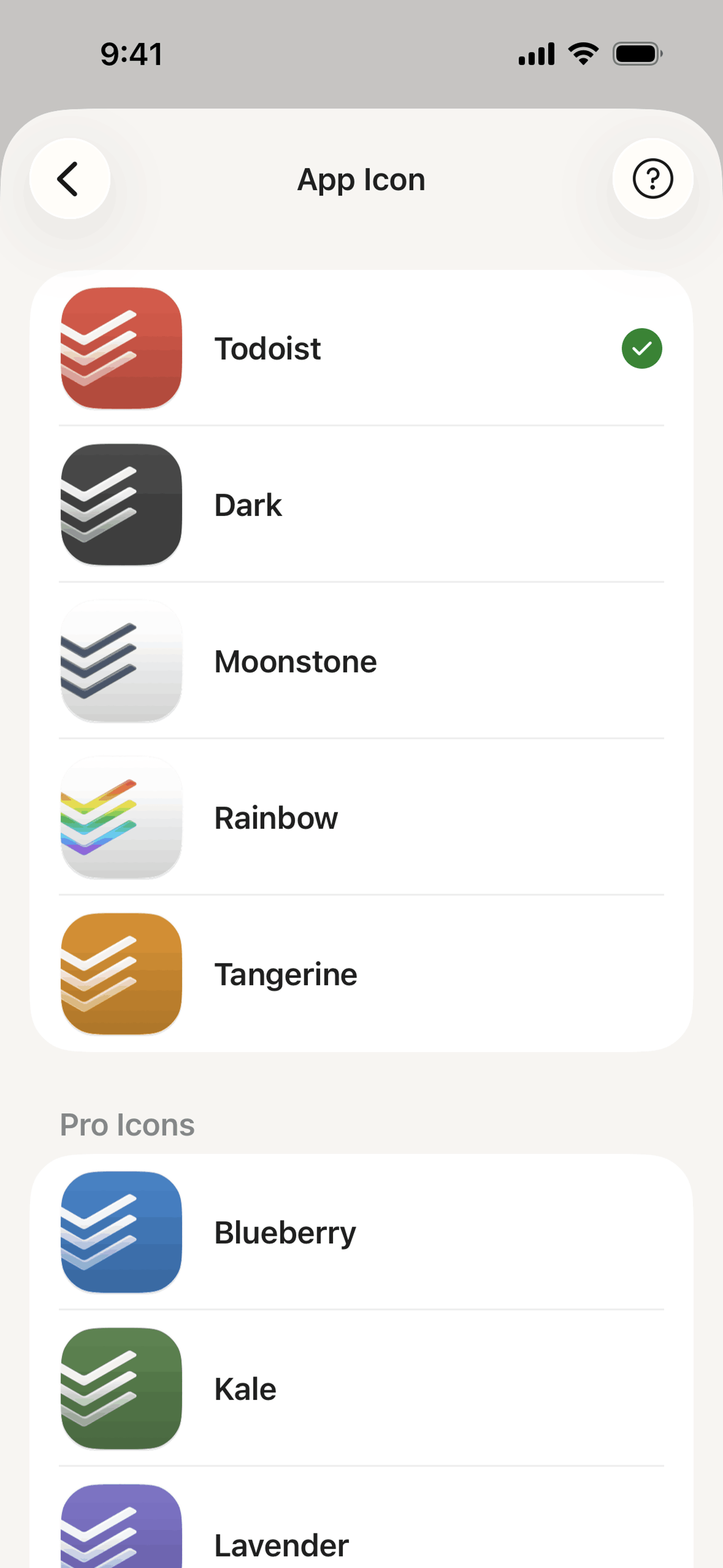 Todoist iOS Collaboration interface screenshot 10