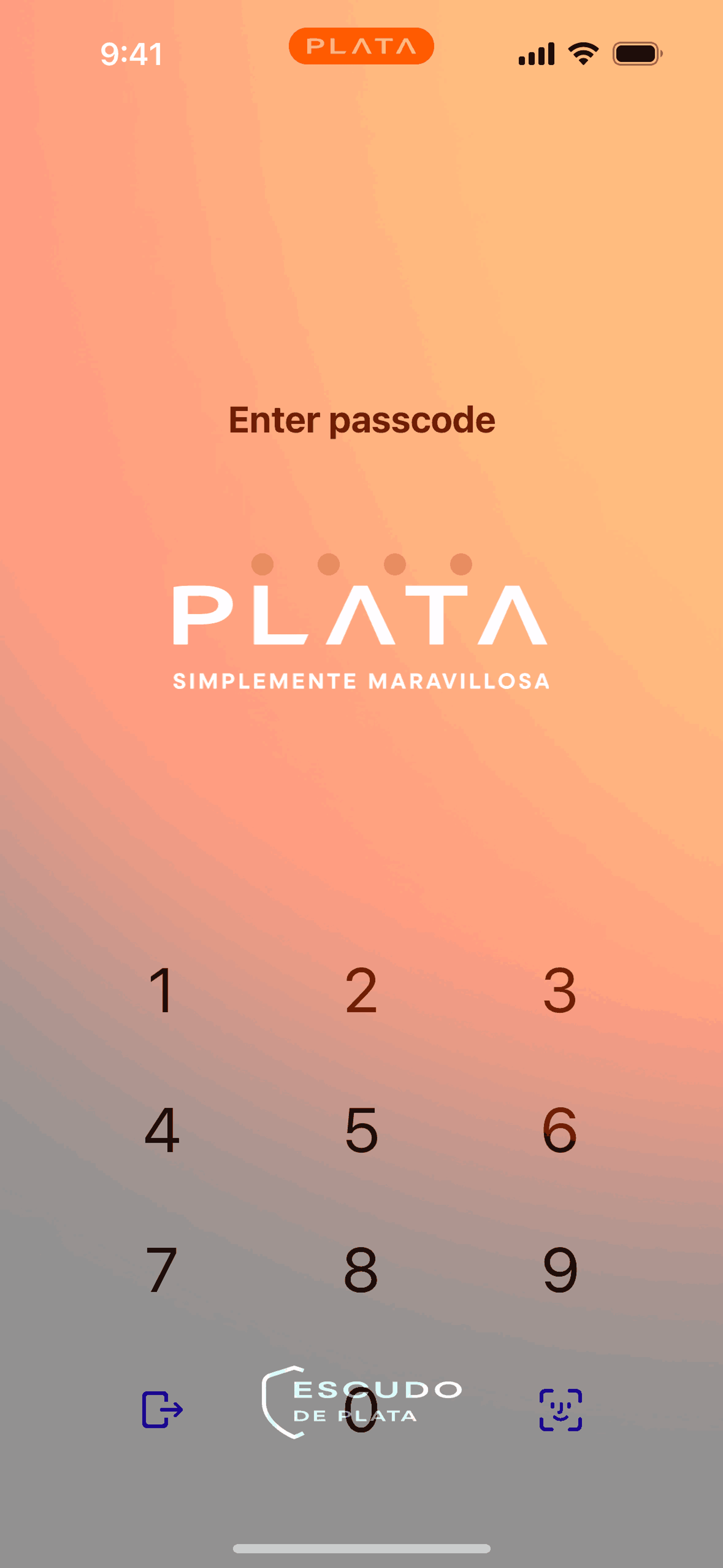 Plata Card iOS Finance interface screenshot 6