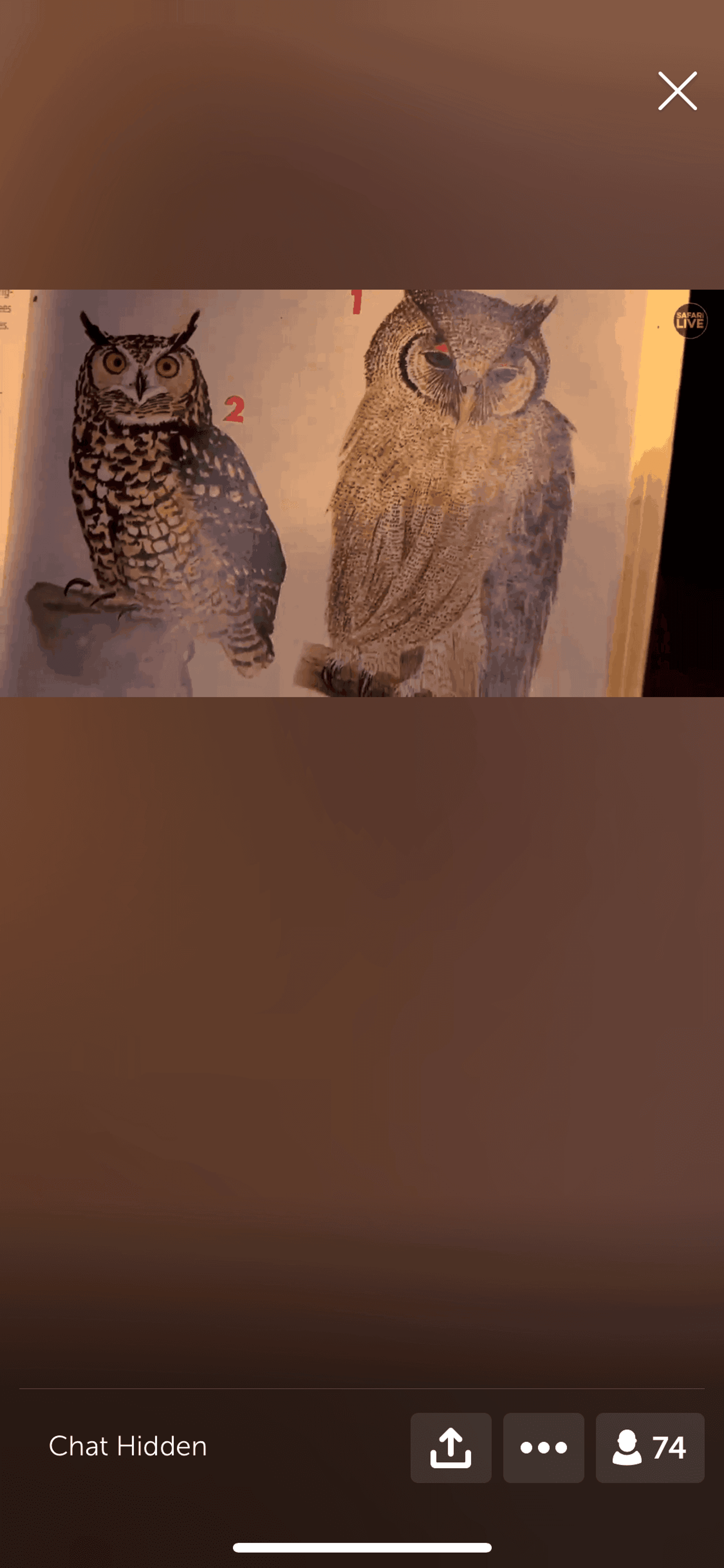 Periscope iOS Social Networking interface screenshot 24