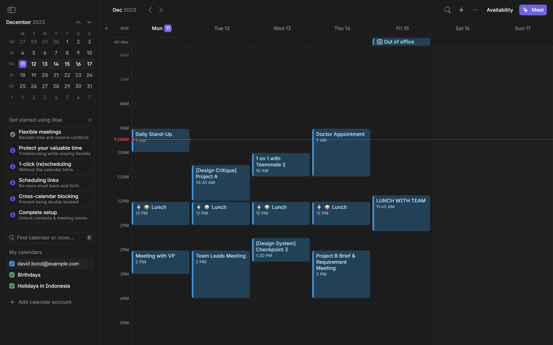 Rise Web Collaboration interface screenshot 1
