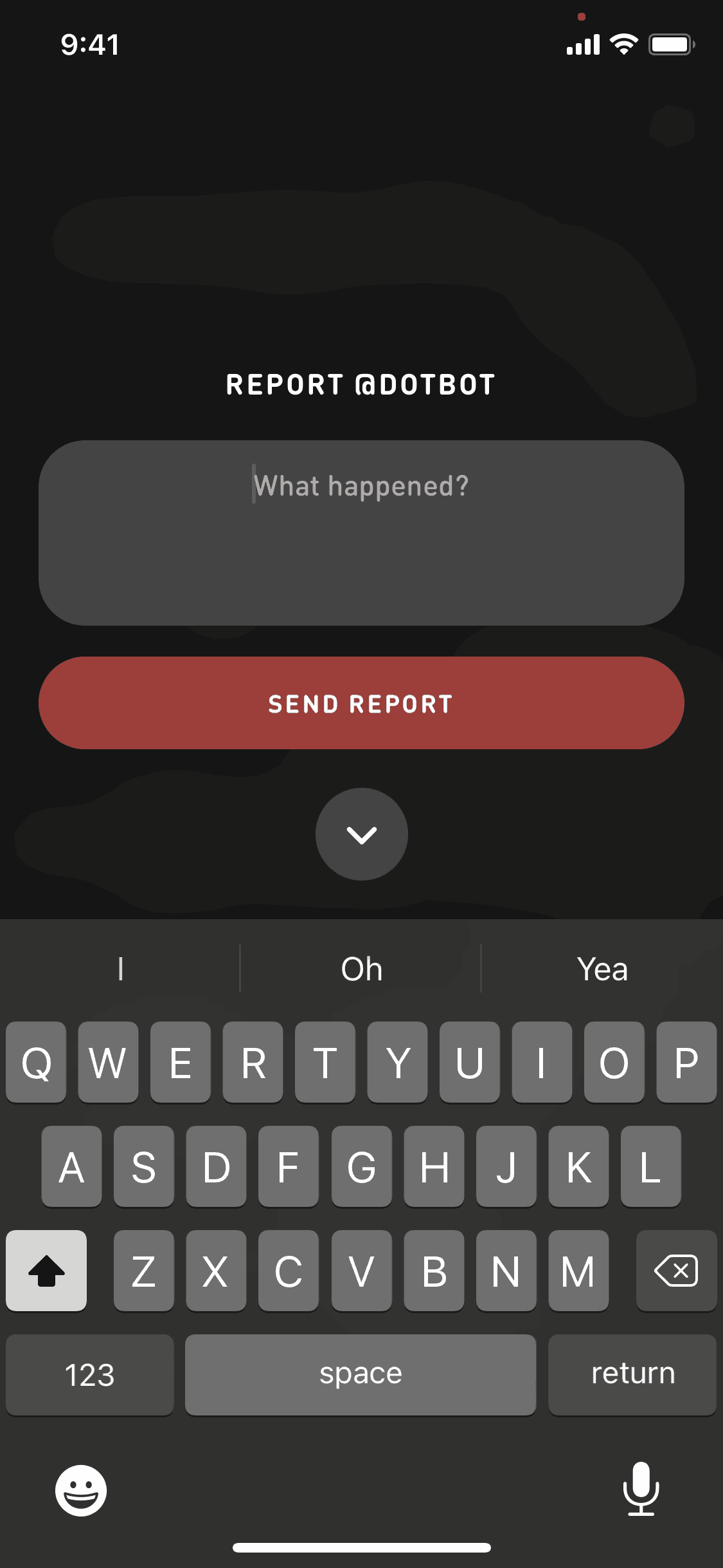 Reporting a user on Sonar (ios) screen 2