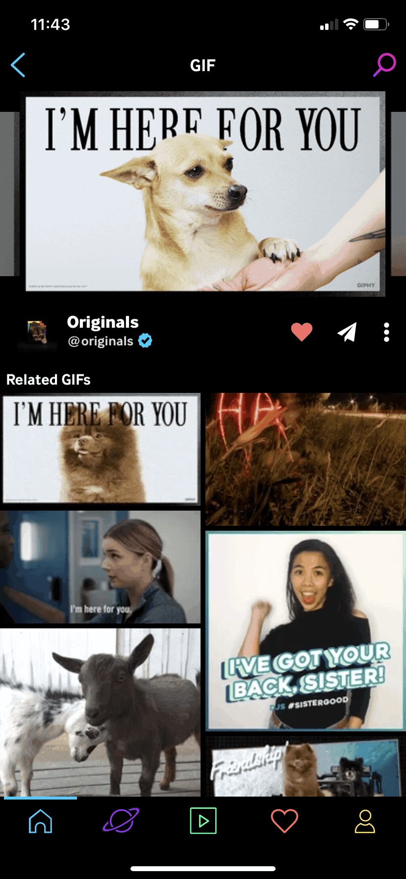 GIPHY iOS Photo & Video interface screenshot 13