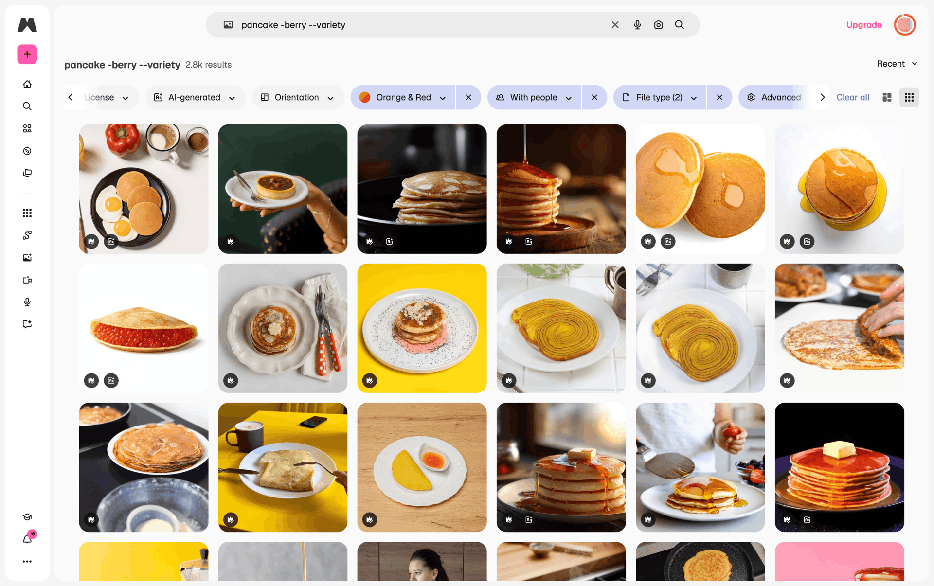 Magnific Web Photo & Video interface screenshot 1
