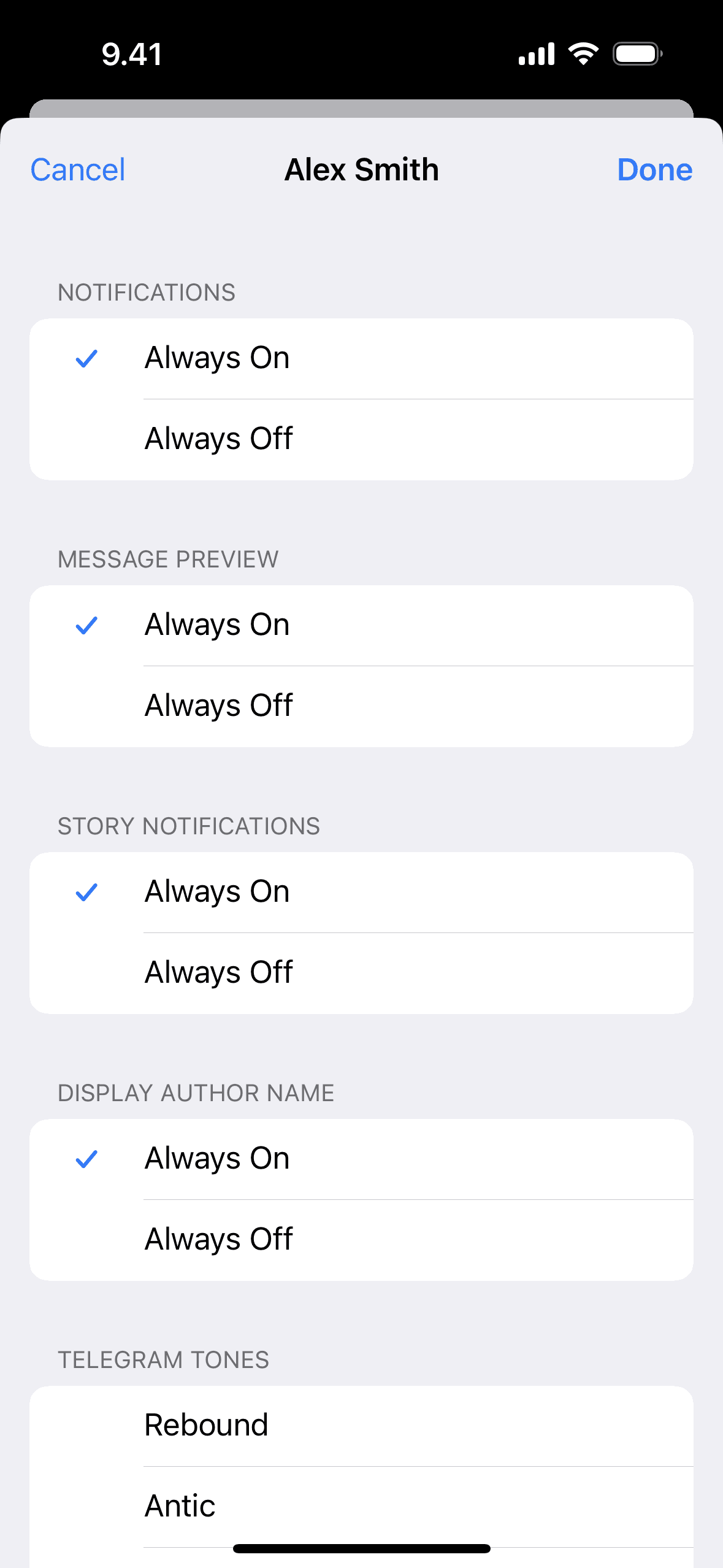 Telegram iOS Social Networking interface screenshot 12