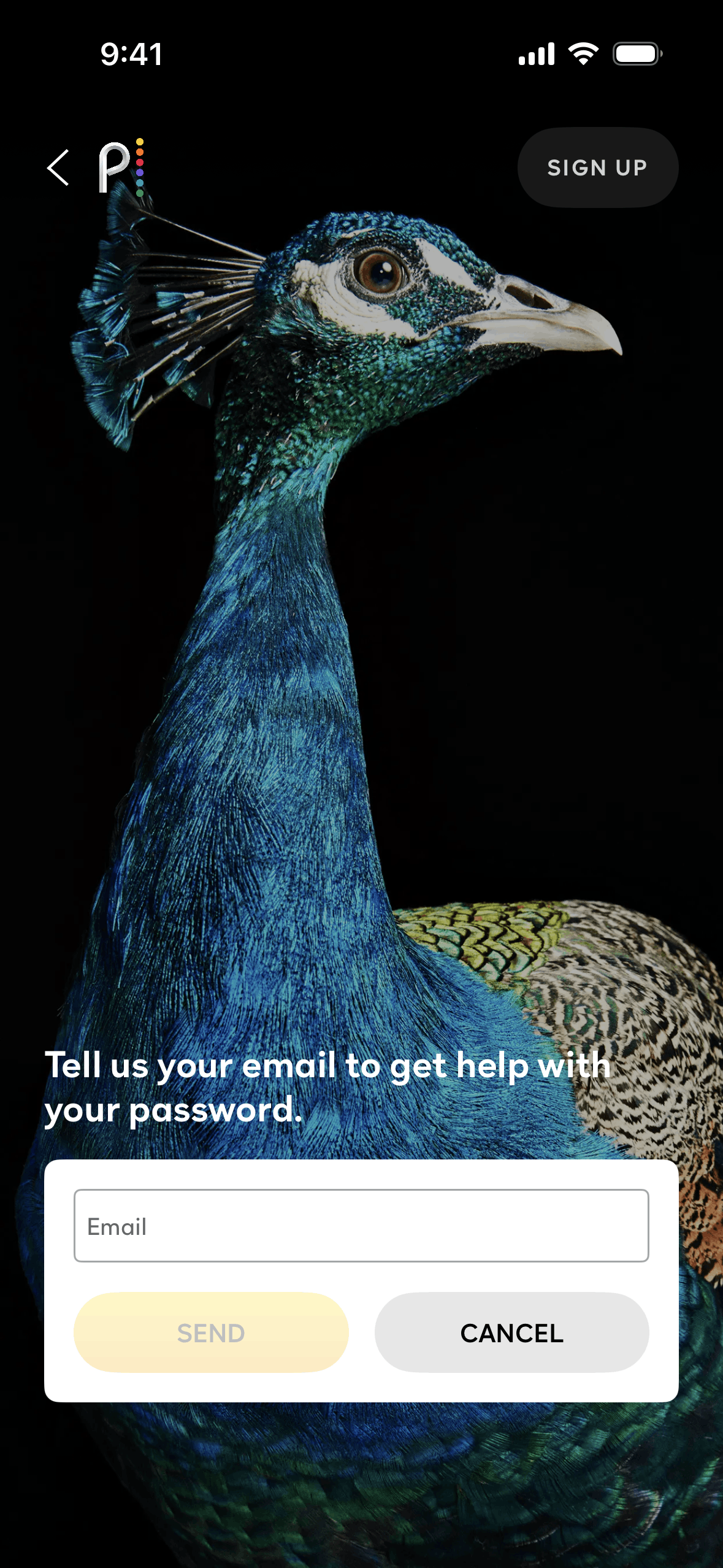 Peacock iOS Entertainment interface screenshot 14