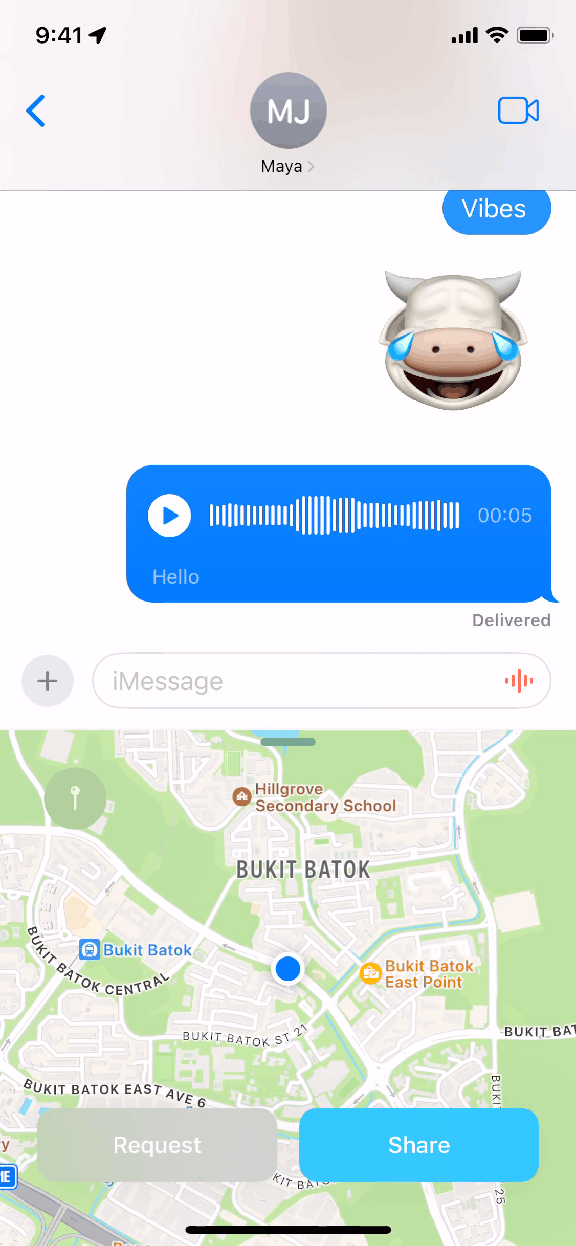 Messages iOS Communication interface screenshot 2