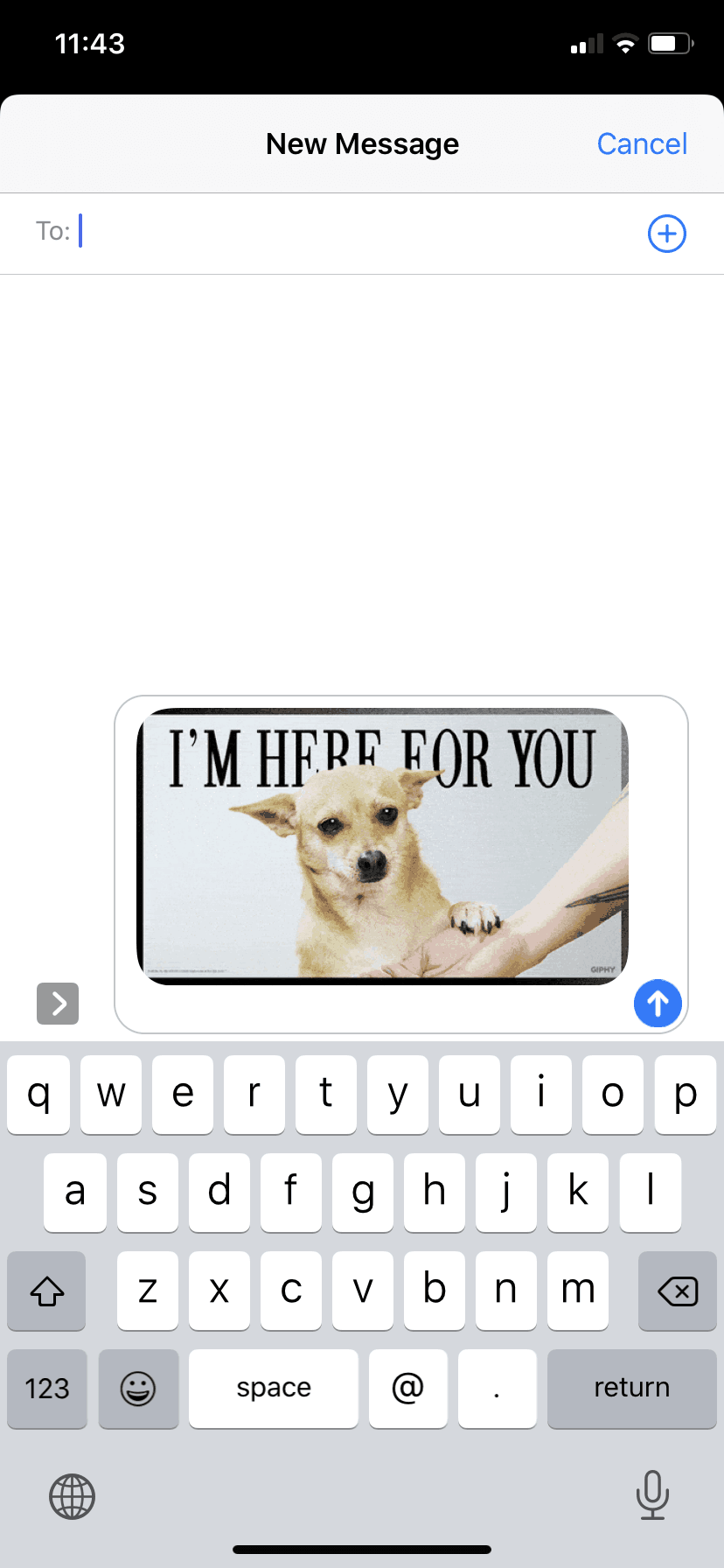 GIPHY iOS Photo & Video interface screenshot 17