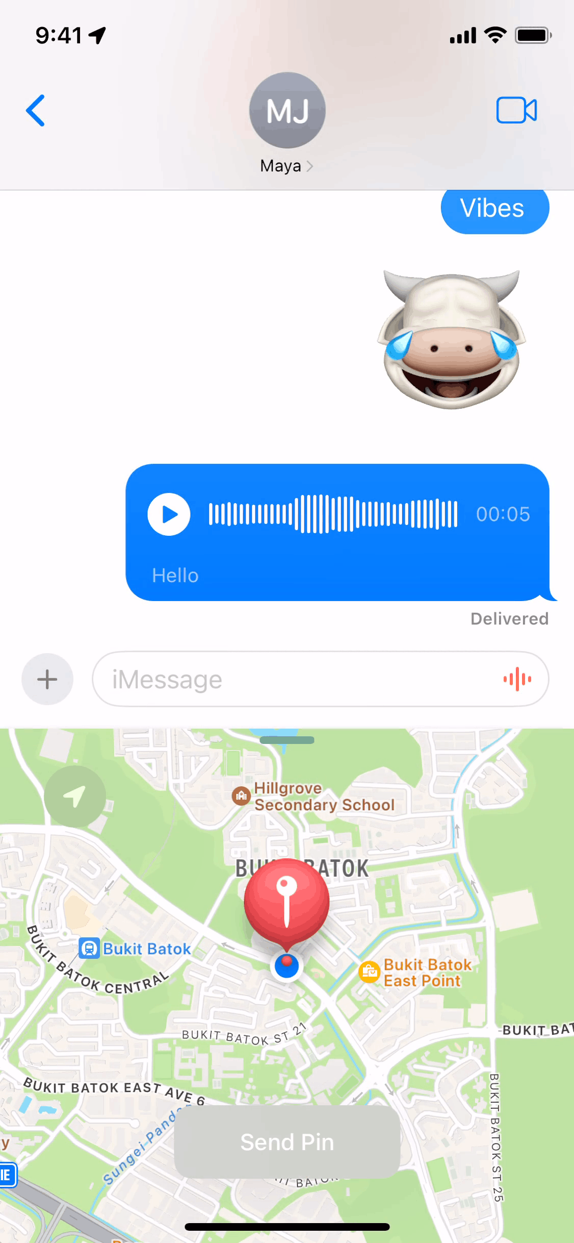 Messages iOS Communication interface screenshot 3