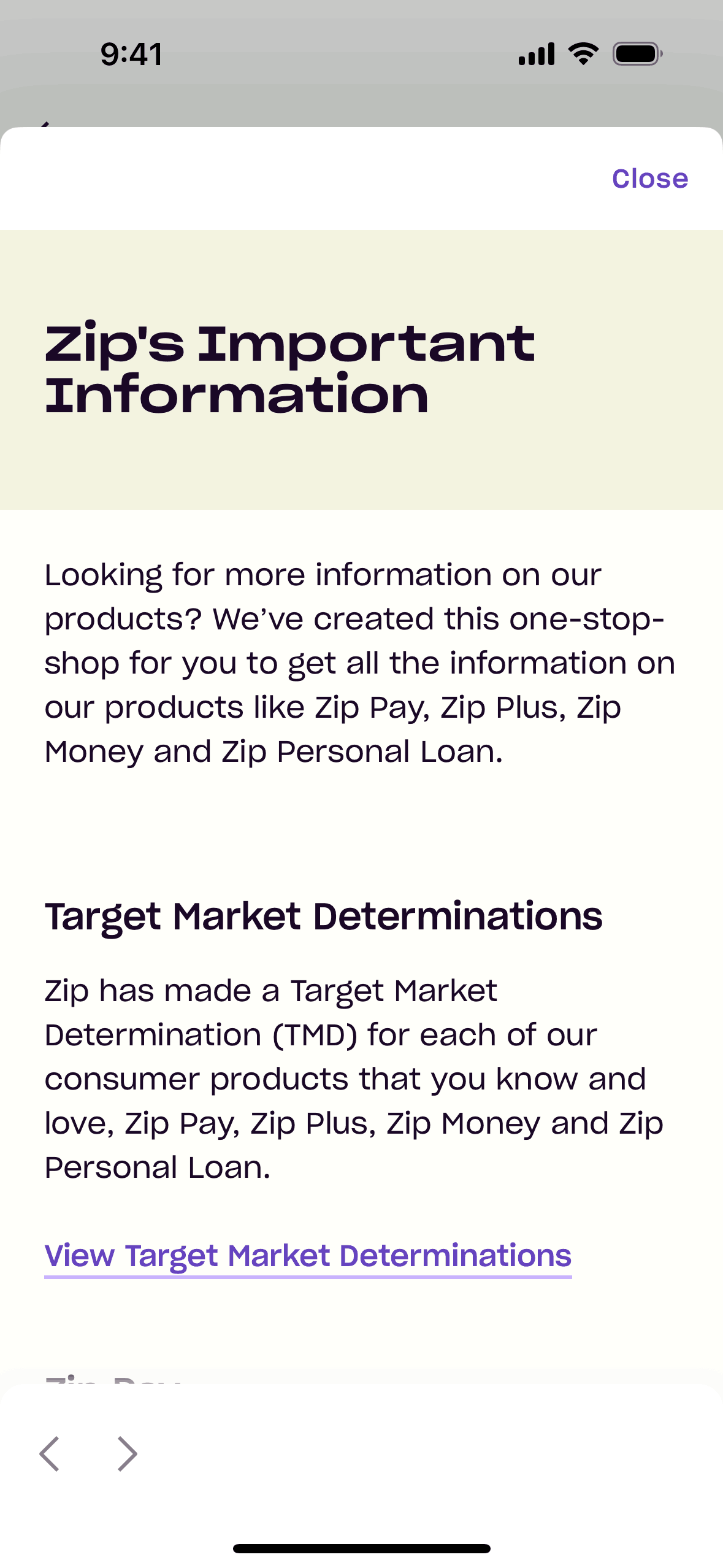 Zip iOS Finance interface screenshot 4