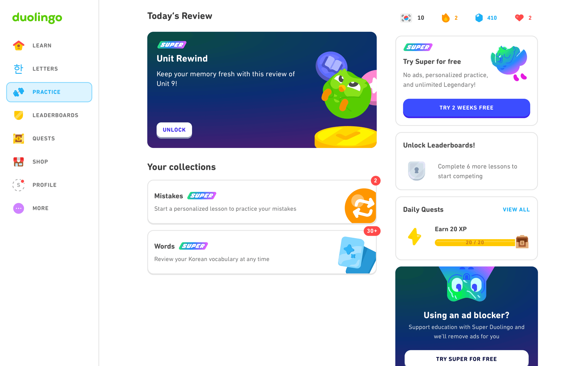 Duolingo Web Education interface screenshot 20