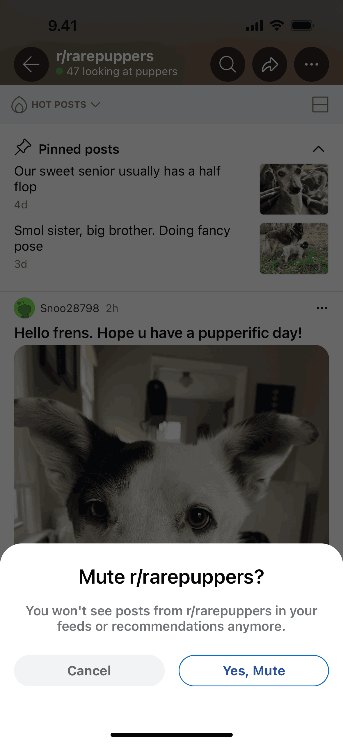 Reddit iOS Social Networking interface screenshot 15