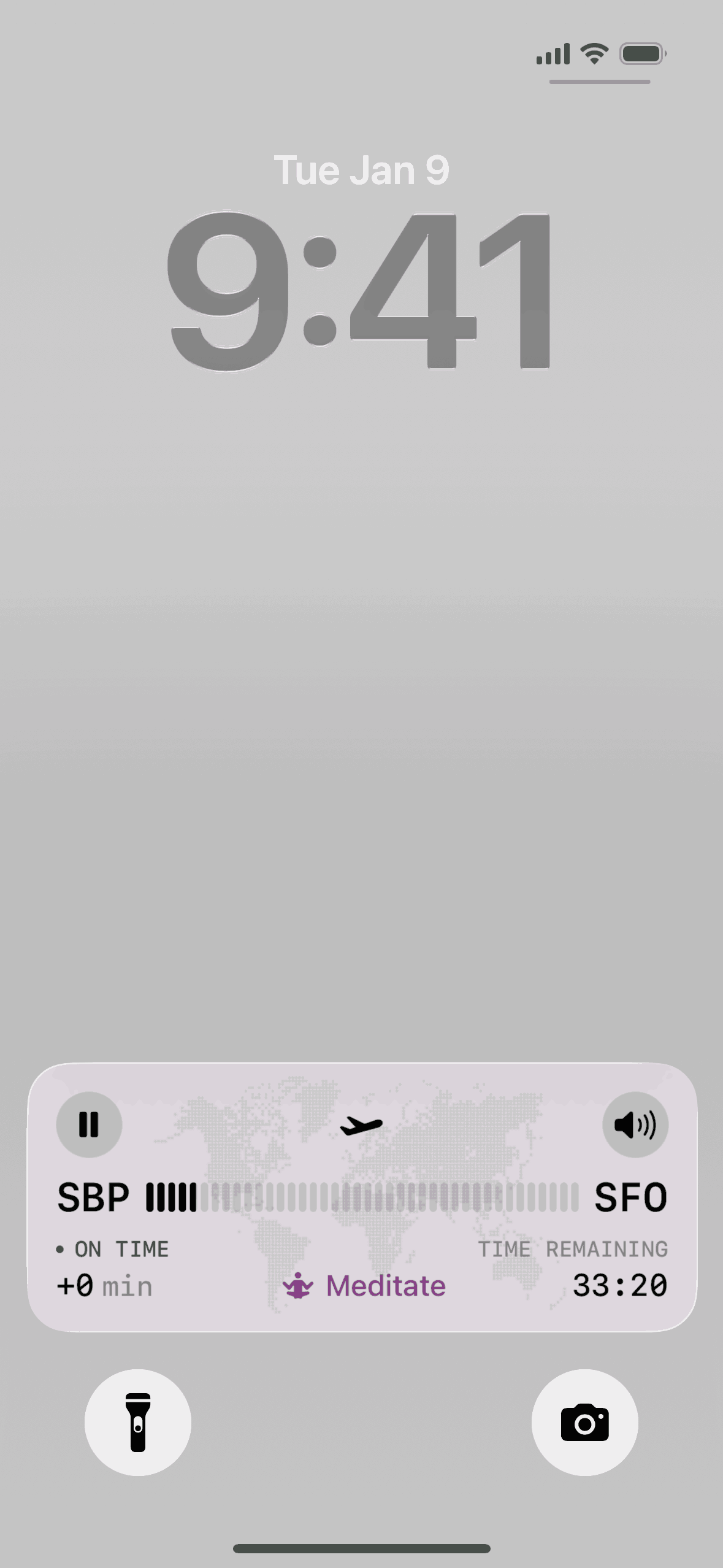 FocusFlight iOS Productivity interface screenshot 4