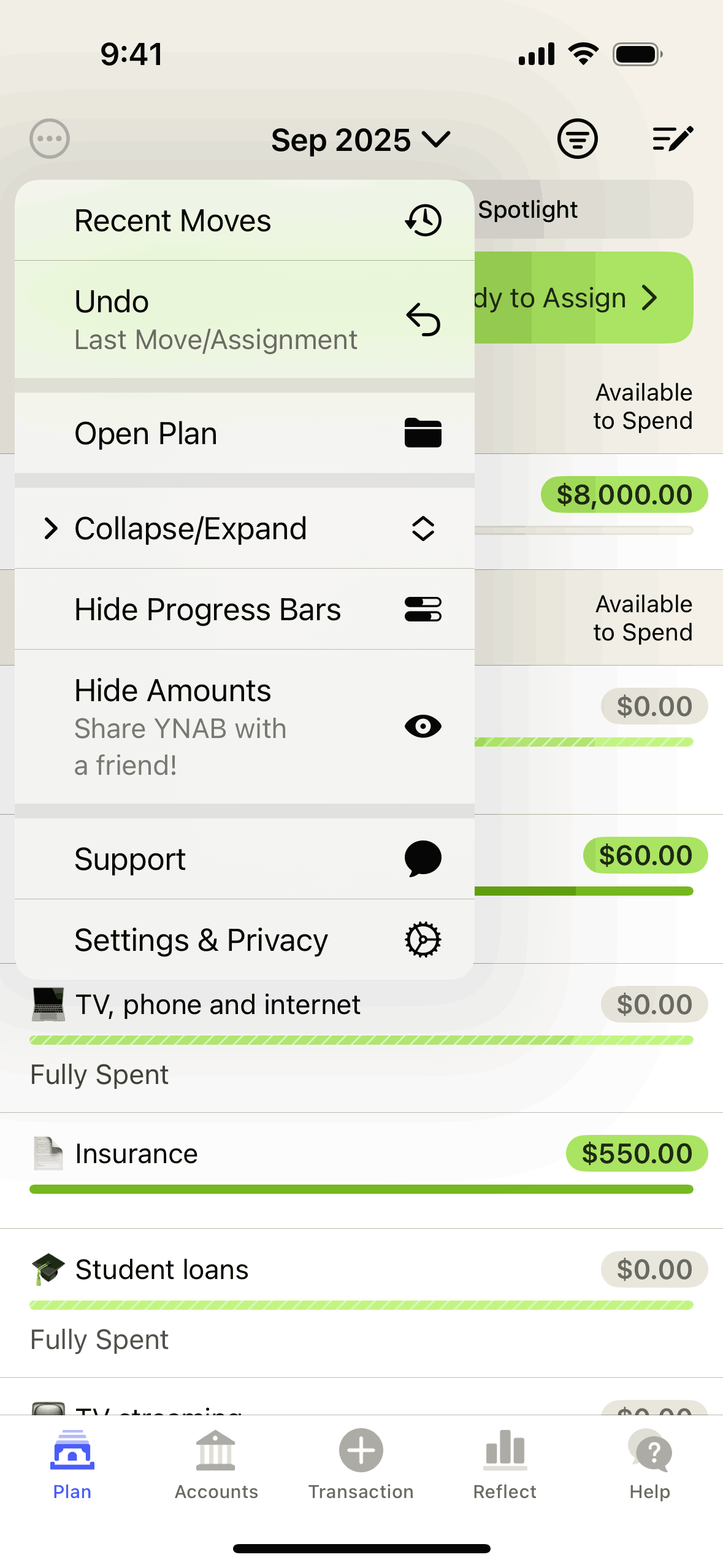 YNAB iOS Finance interface screenshot 9