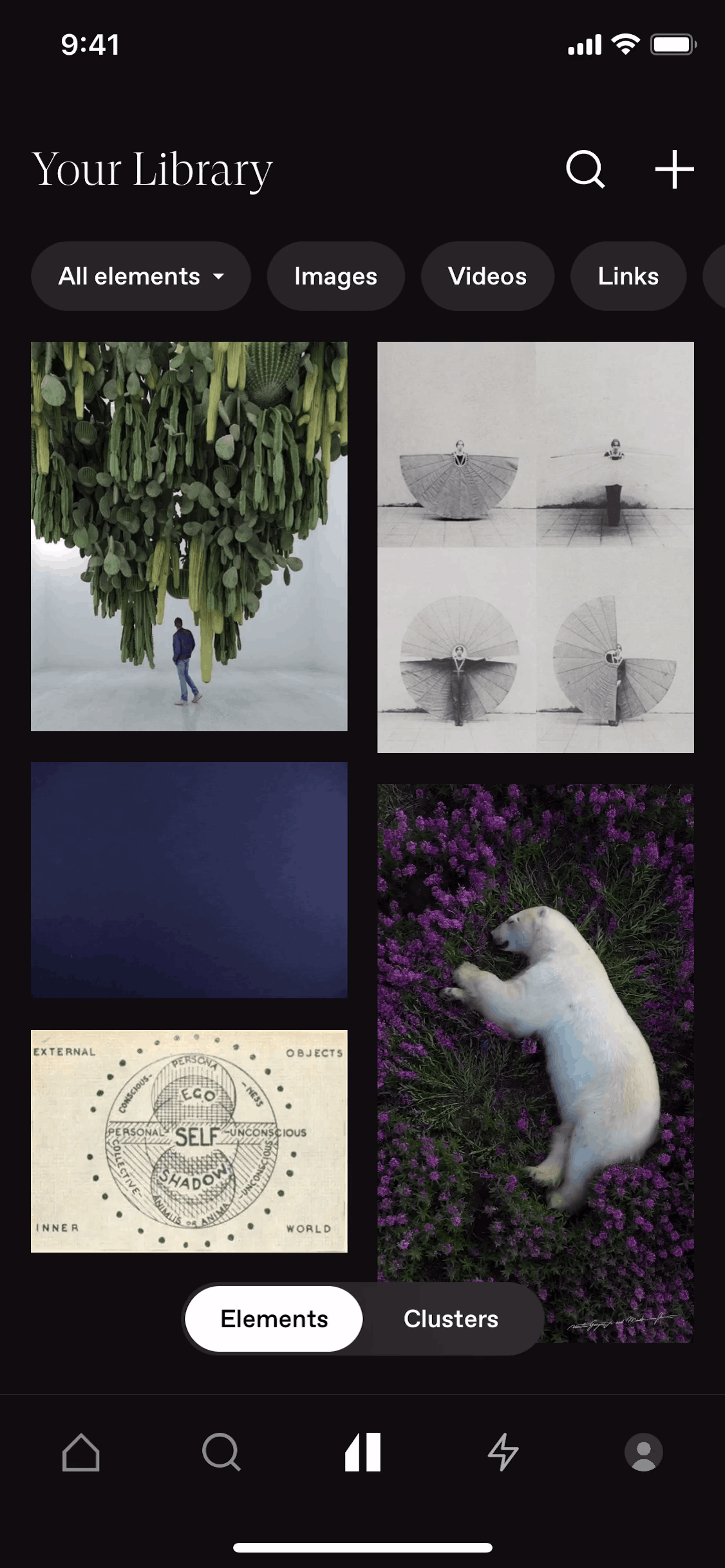 Cosmos iOS Photo & Video interface screenshot 3