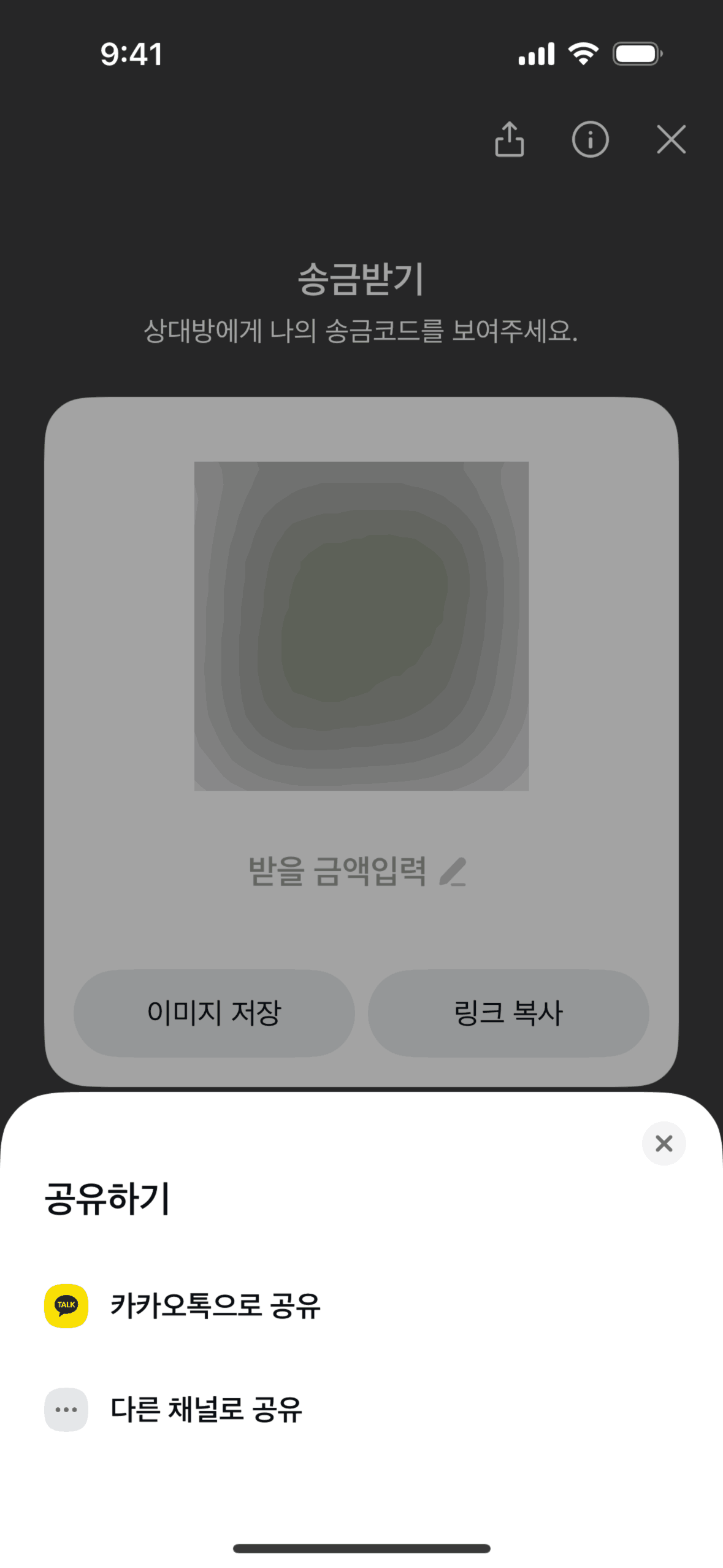 Kakao Pay iOS Finance interface screenshot 16