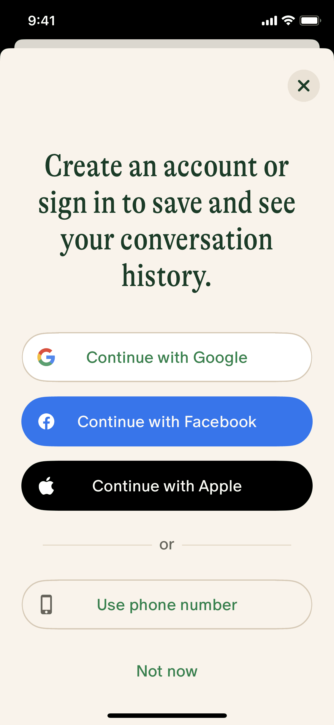 Pi iOS AI interface screenshot 16