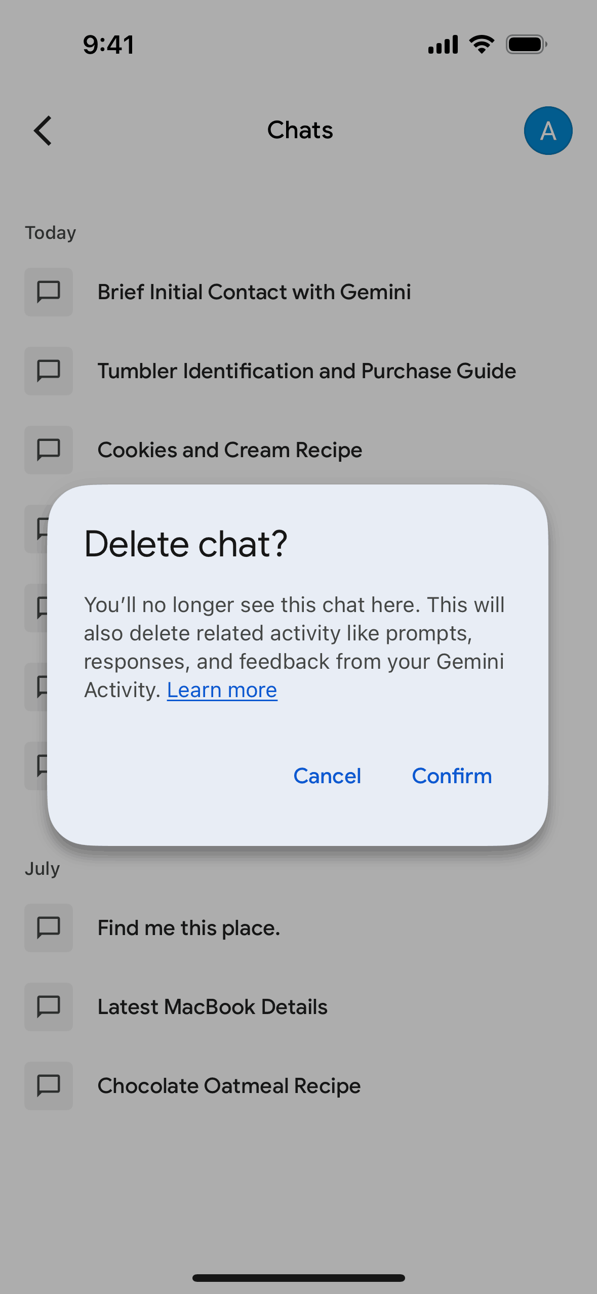 Google Gemini iOS AI interface screenshot 23