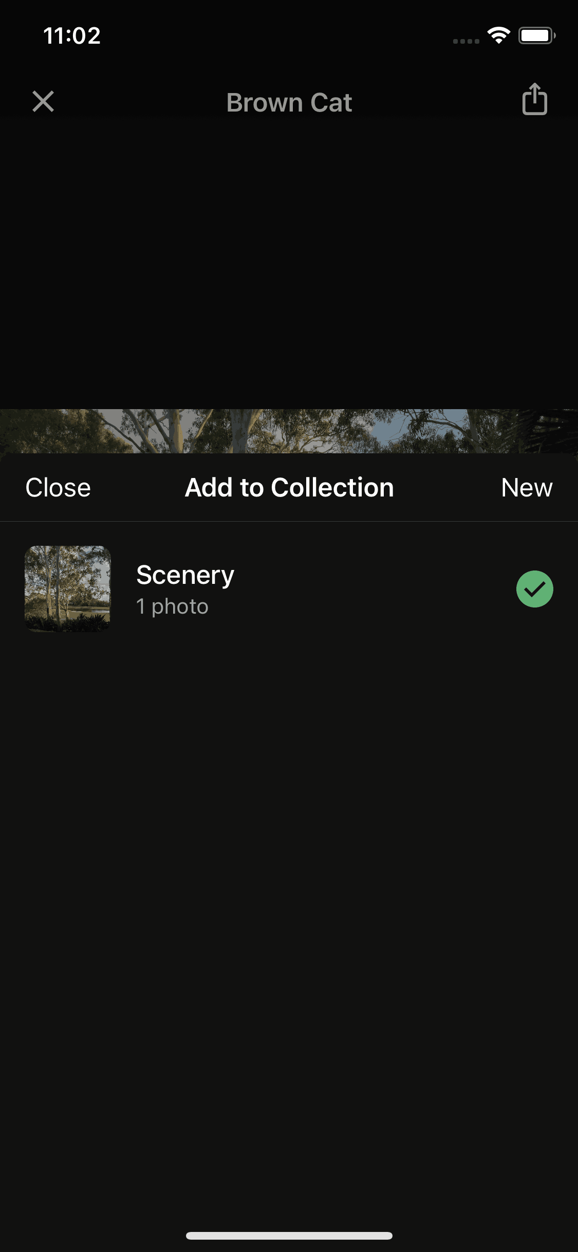 Unsplash iOS Photo & Video interface screenshot 20