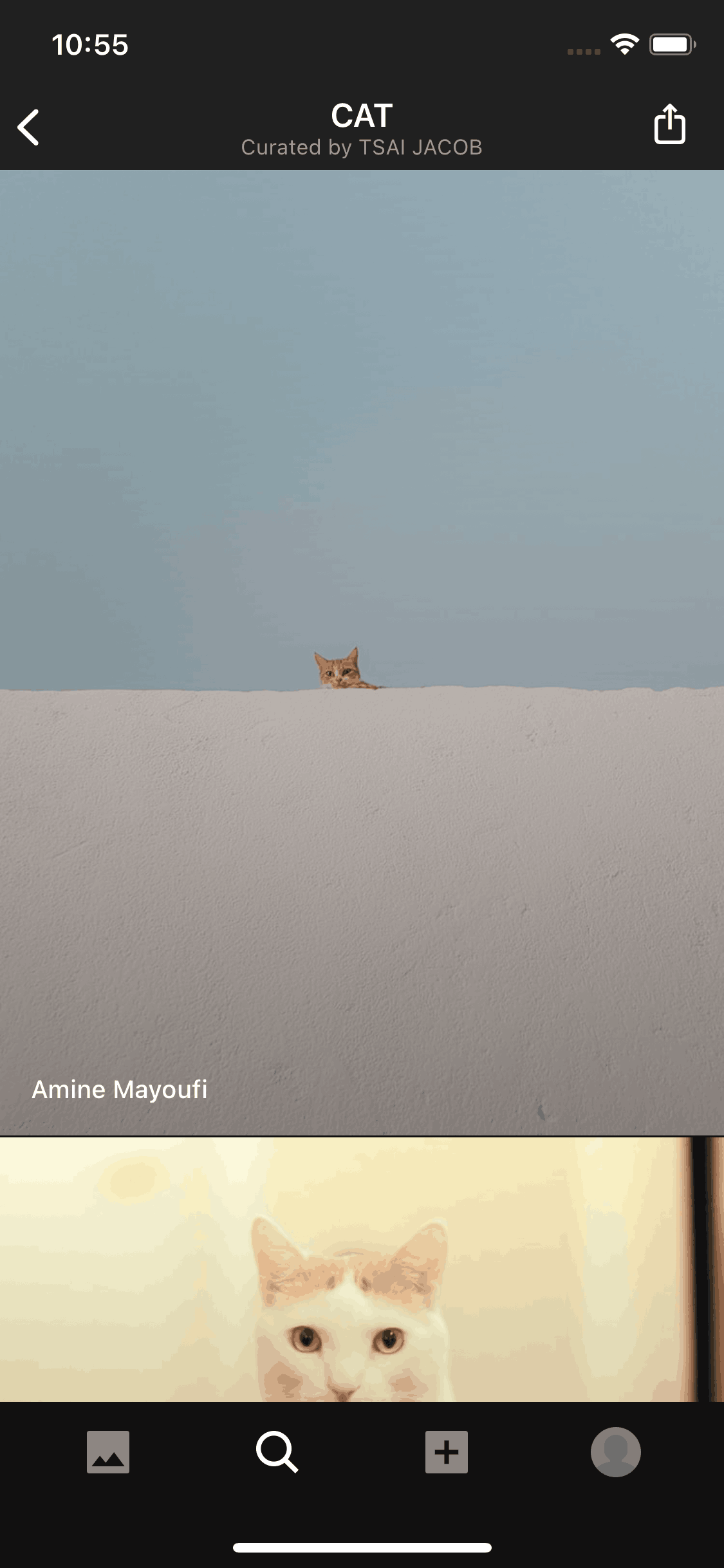 Unsplash iOS Photo & Video interface screenshot 12