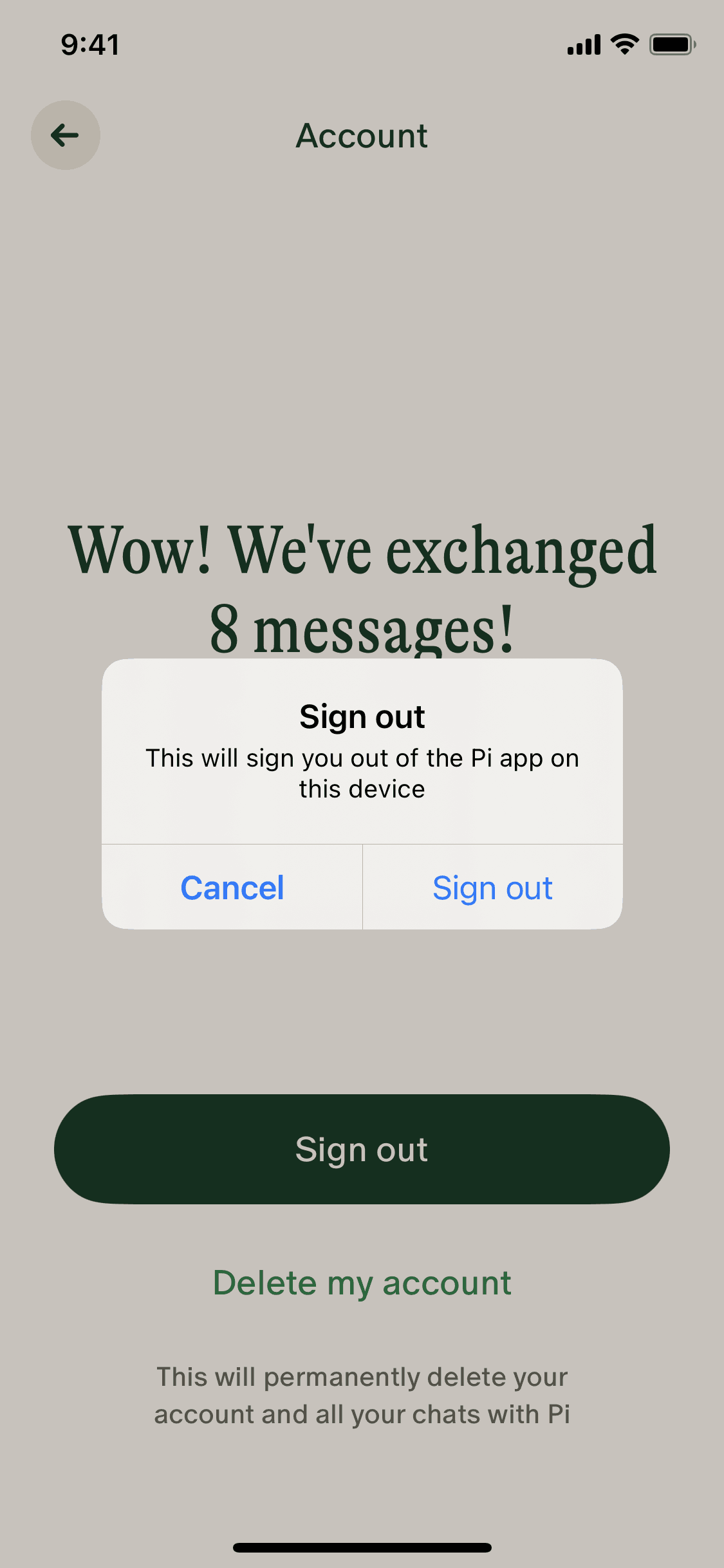 Pi iOS AI interface screenshot 11
