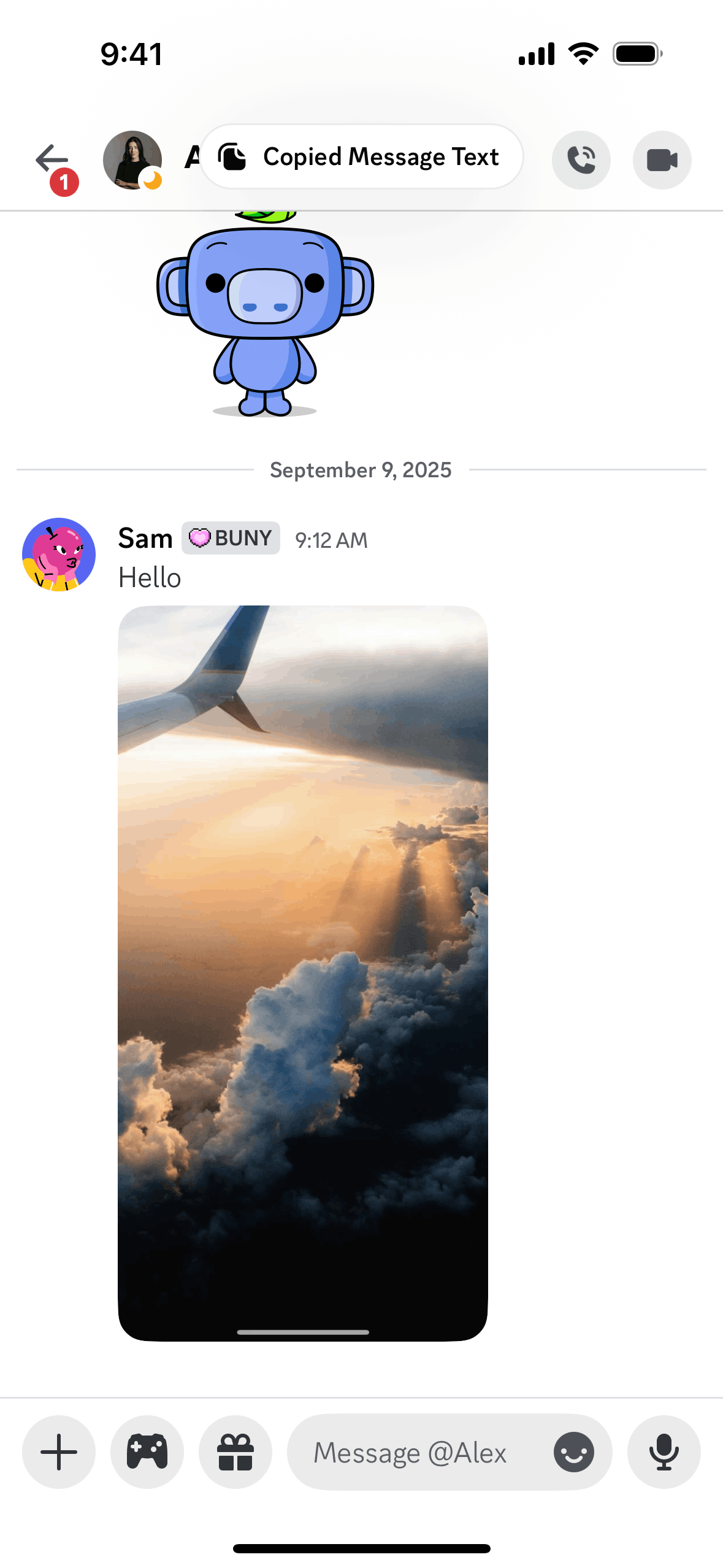 Discord iOS Communication interface screenshot 1