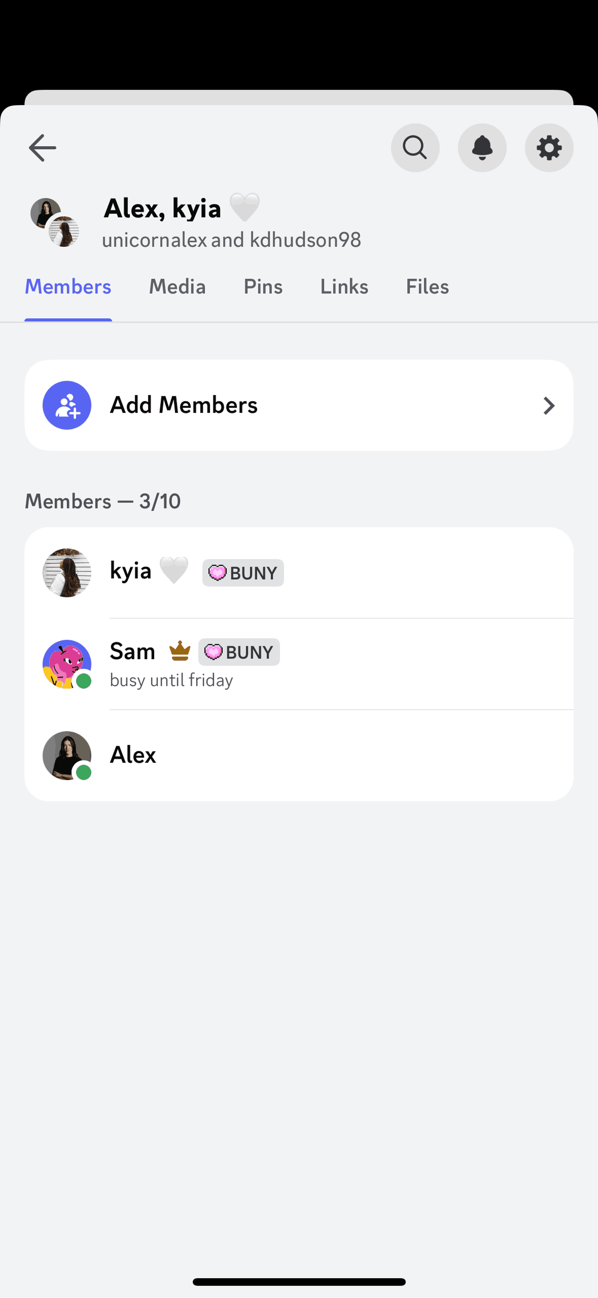 Group detail on Discord (ios) screen 2