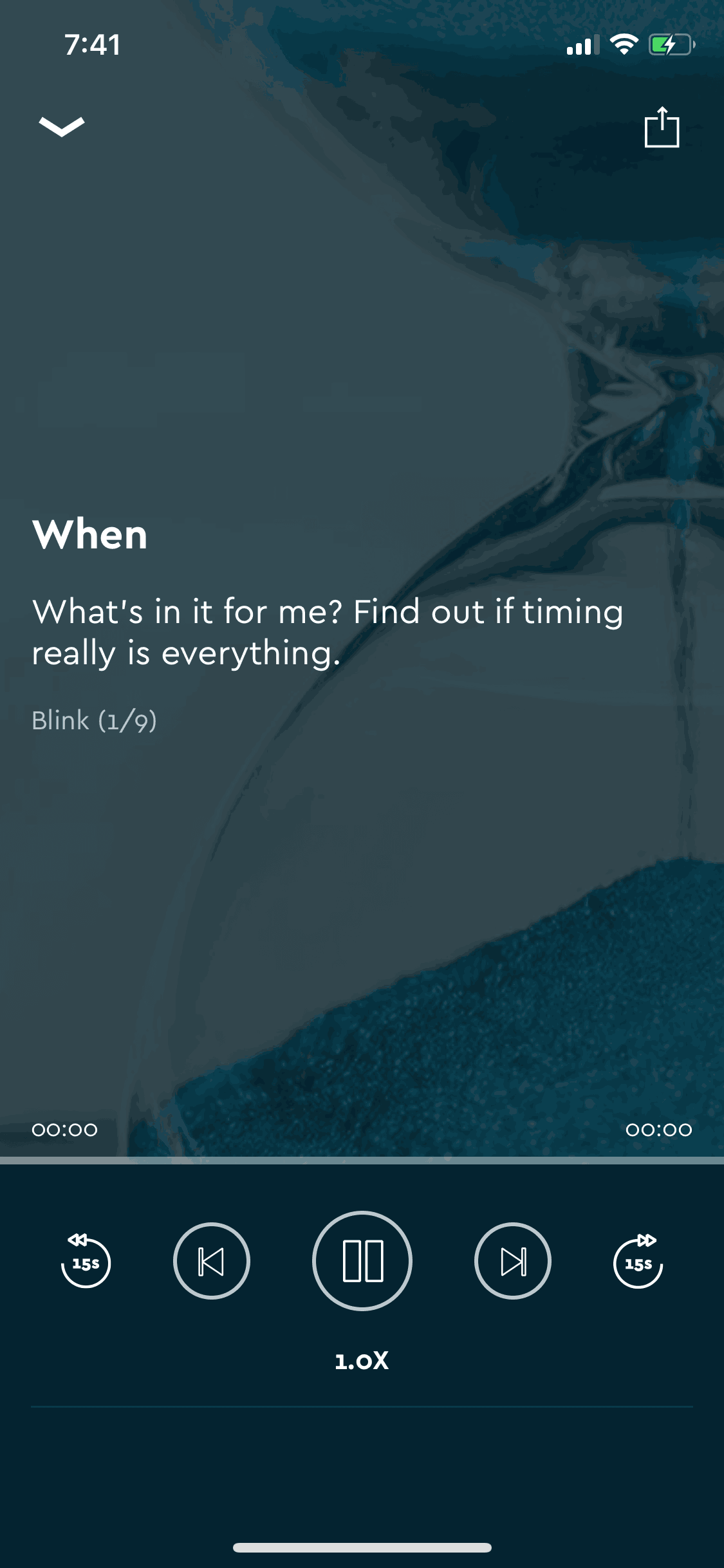 Blinkist iOS Education interface screenshot 24