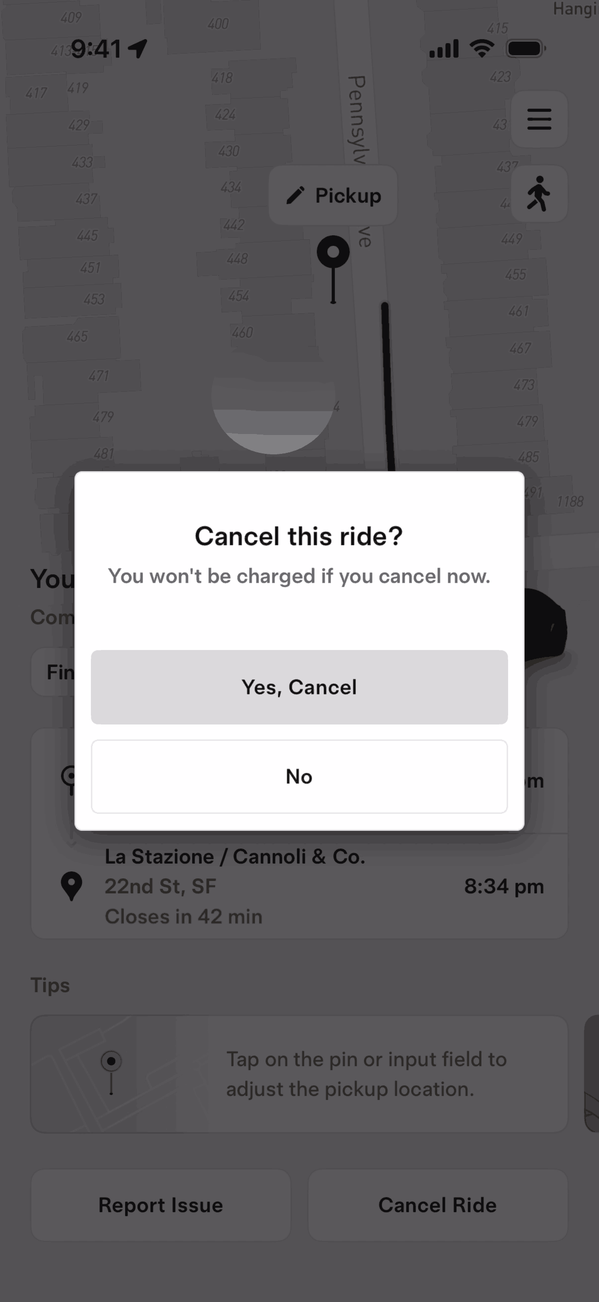 Tesla Robotaxi iOS Travel & Transportation interface screenshot 19