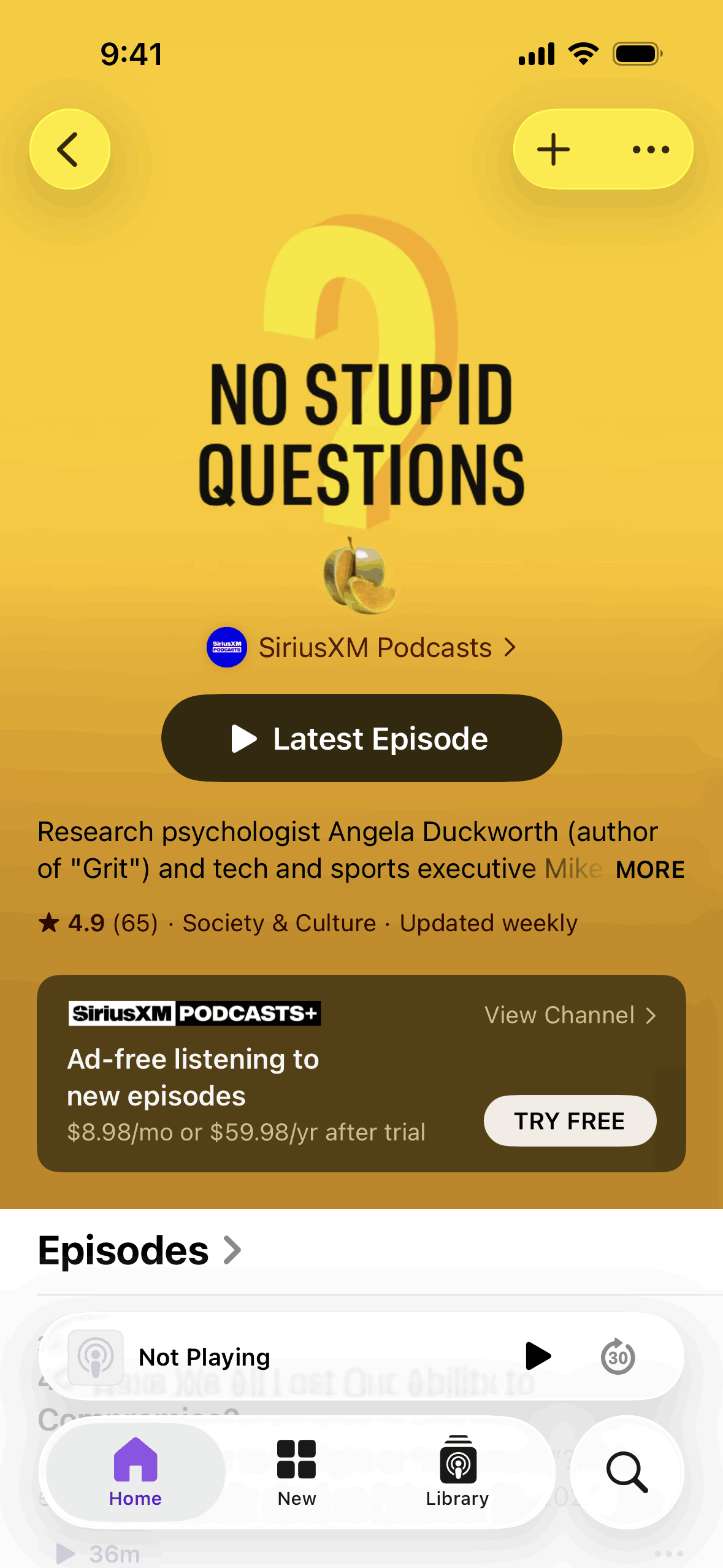 Apple Podcasts iOS Music & Audio interface screenshot 9