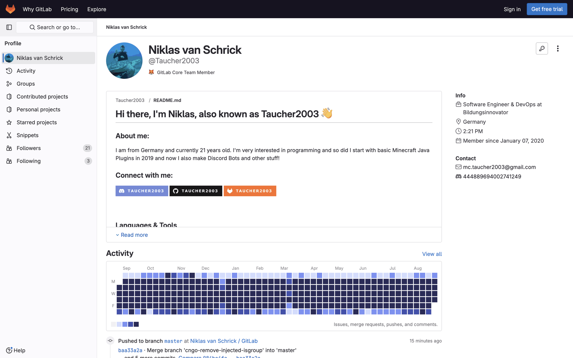 GitLab Web Developer Tools interface screenshot 2