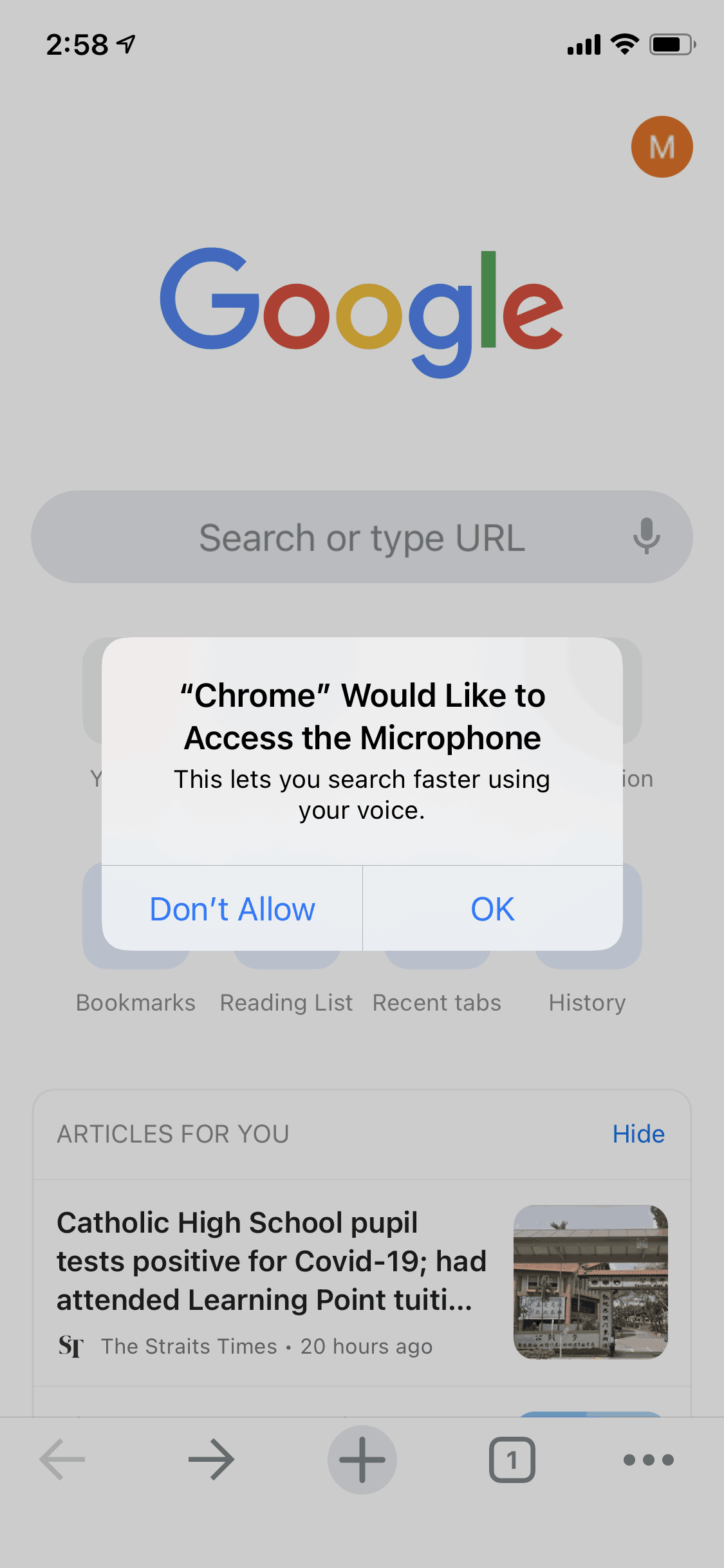 Google Chrome iOS Utilities interface screenshot 16