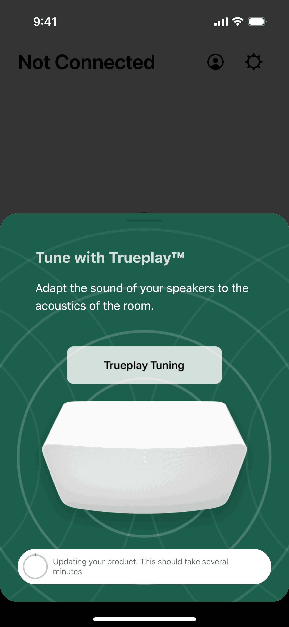 Updating a speaker on Sonos (ios) screen 2