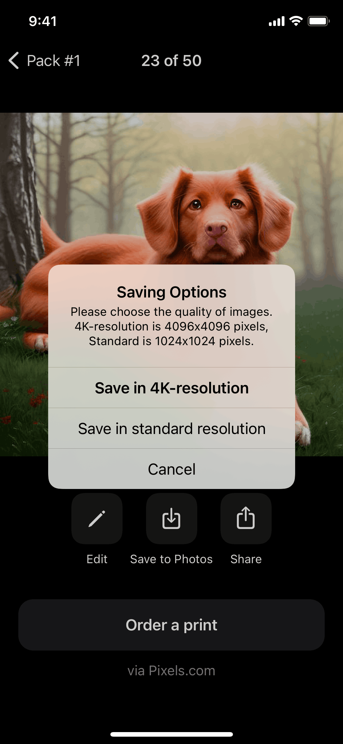 Lensa AI iOS Photo & Video interface screenshot 23