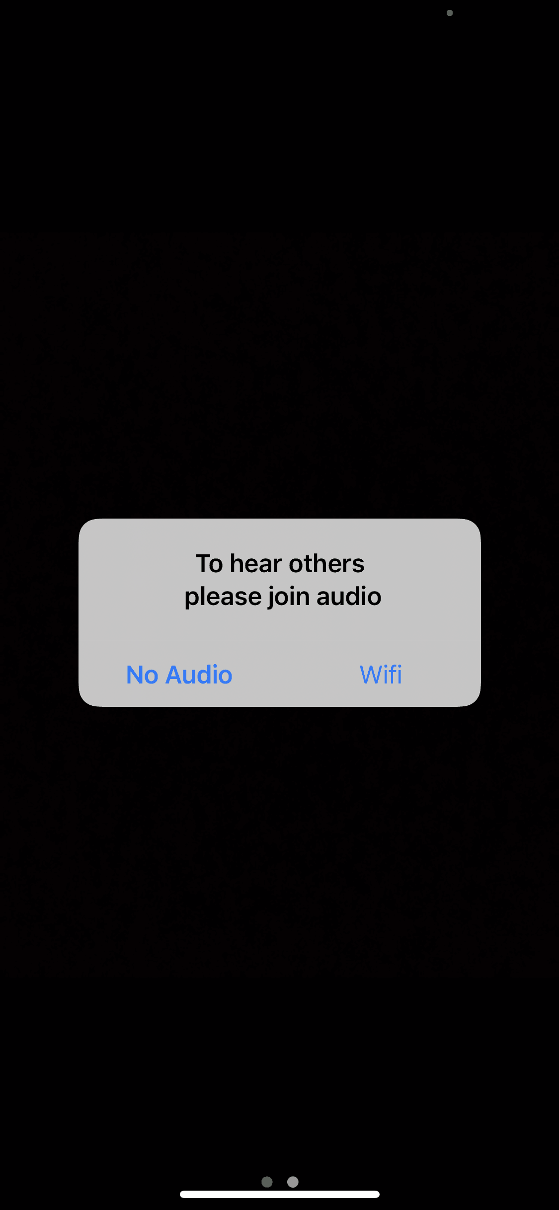 Zoom iOS Business interface screenshot 13