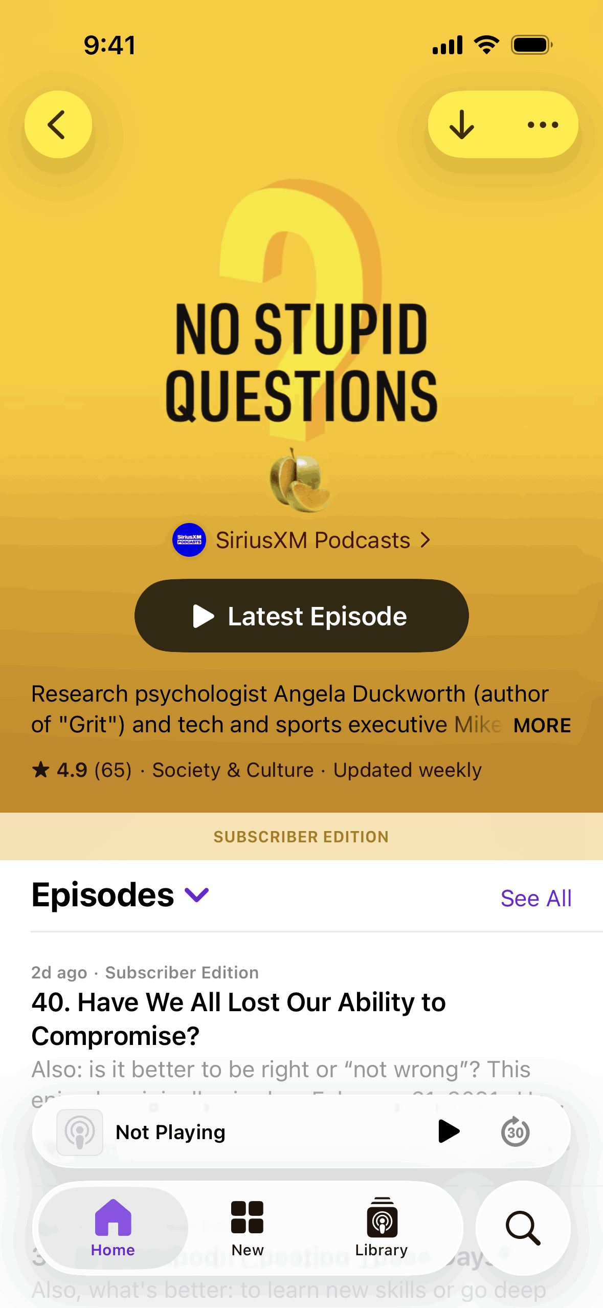 Apple Podcasts iOS Music & Audio interface screenshot 10