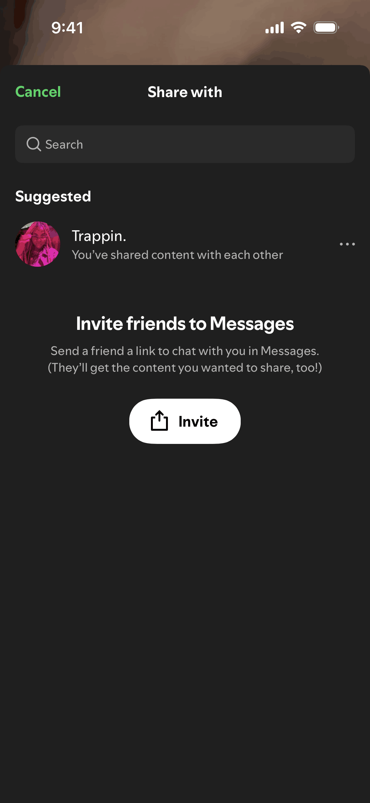 Spotify iOS Music & Audio interface screenshot 12