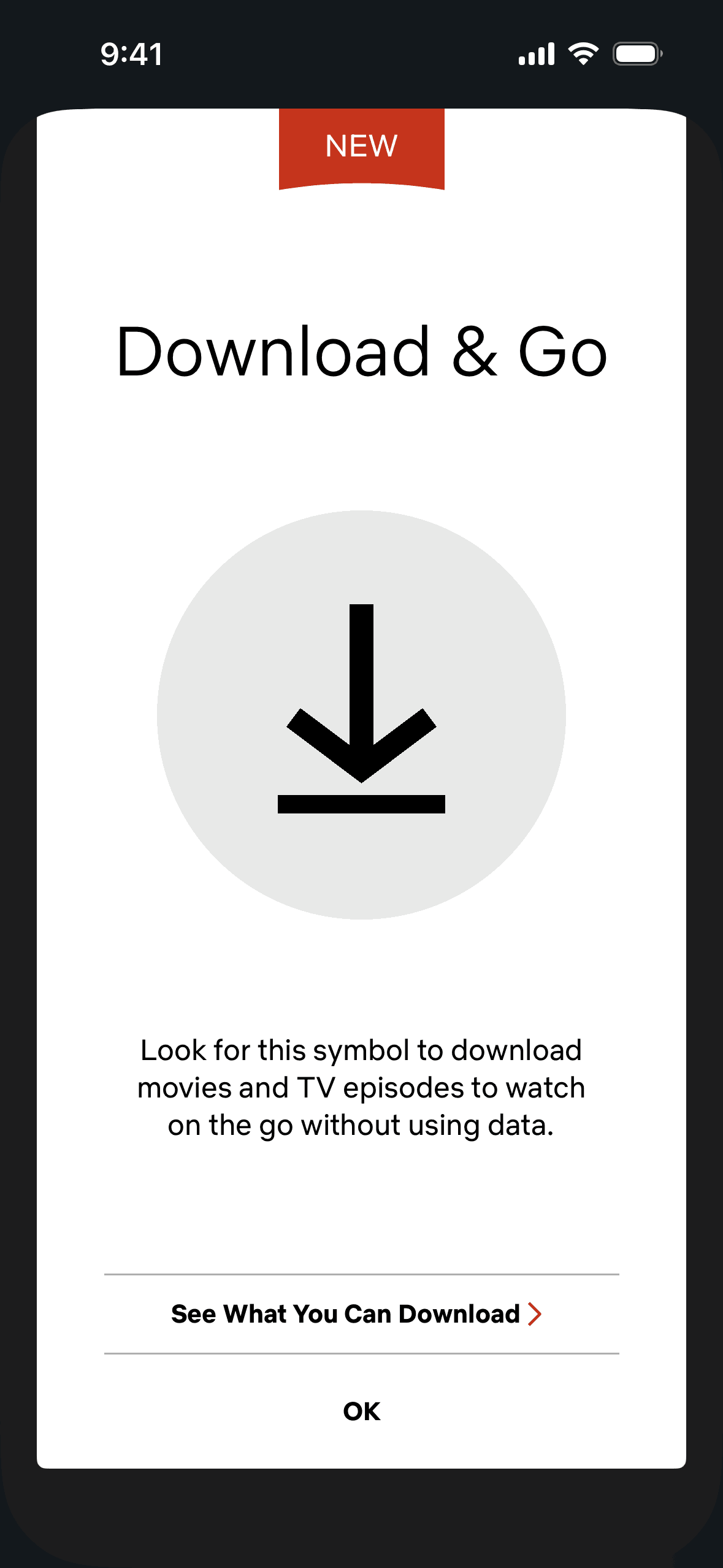 Netflix iOS Entertainment interface screenshot 16
