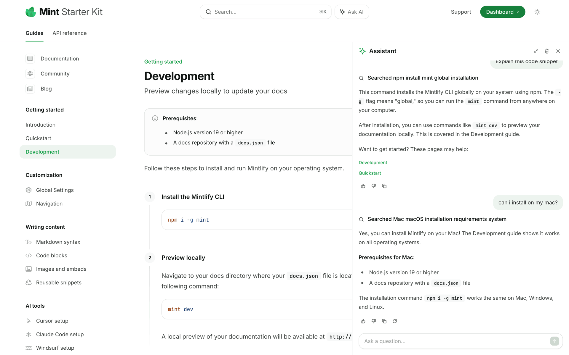Mintlify Web Developer Tools interface screenshot 1