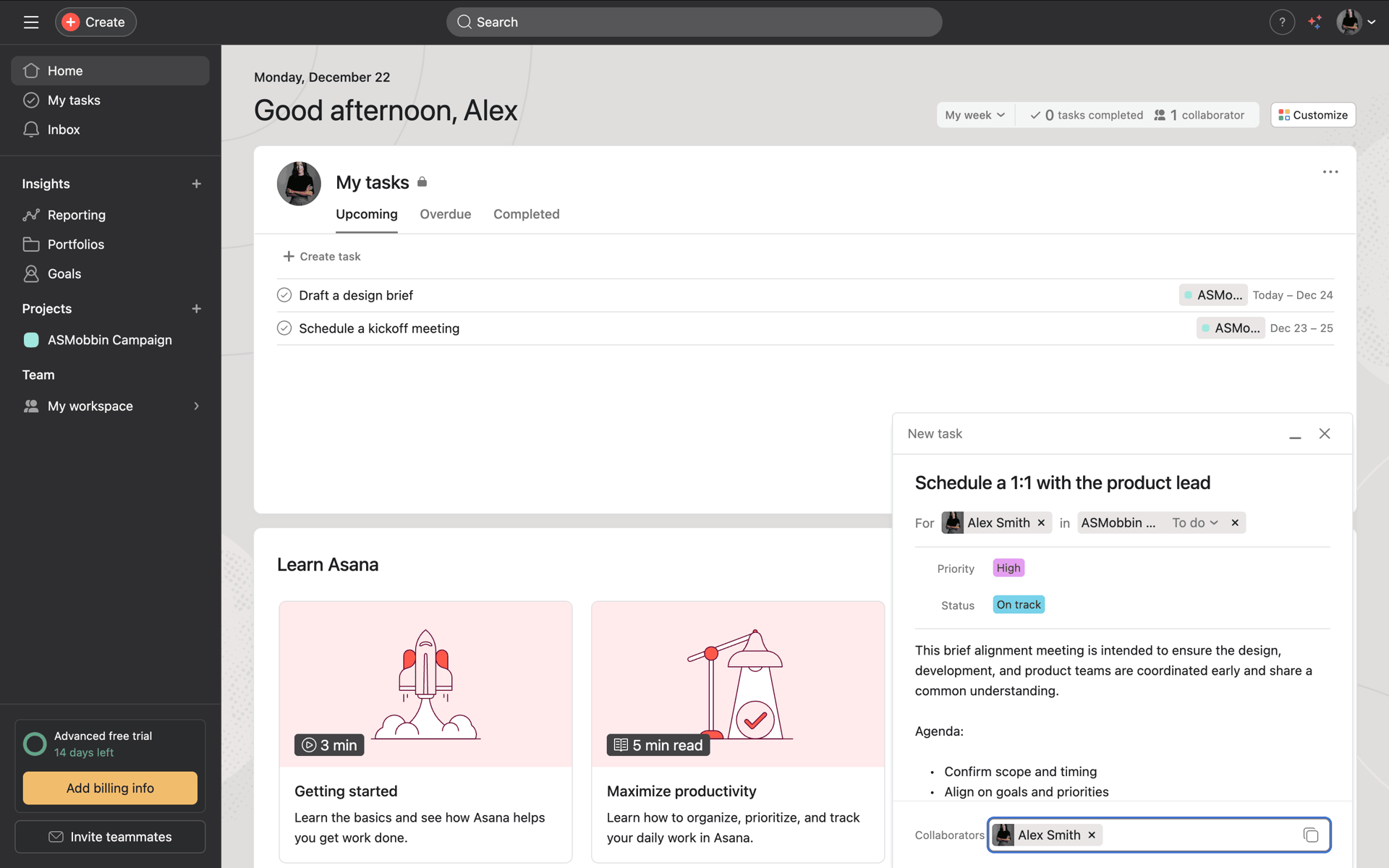 Asana Web Business interface screenshot 19