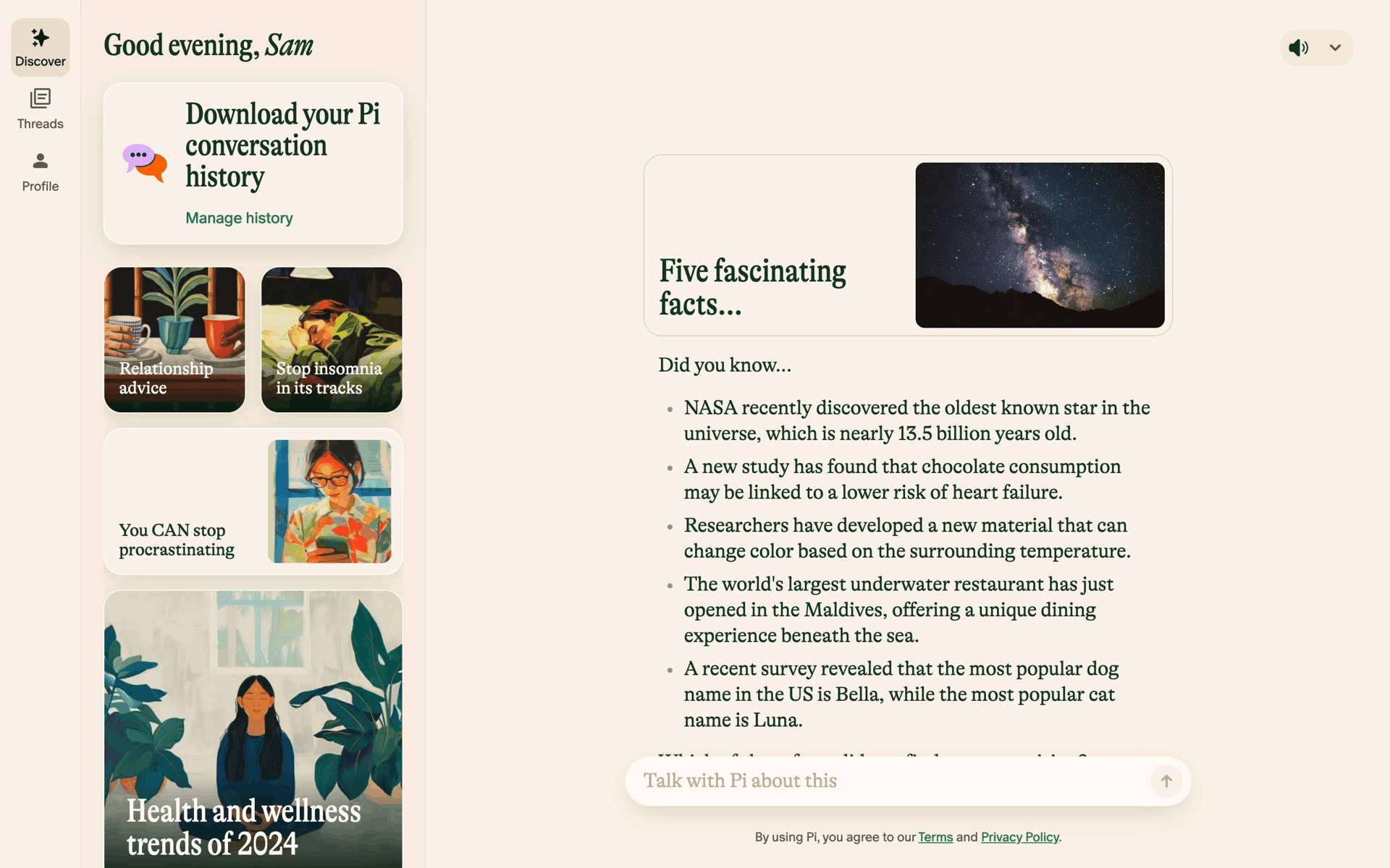 Pi Web AI interface screenshot 1
