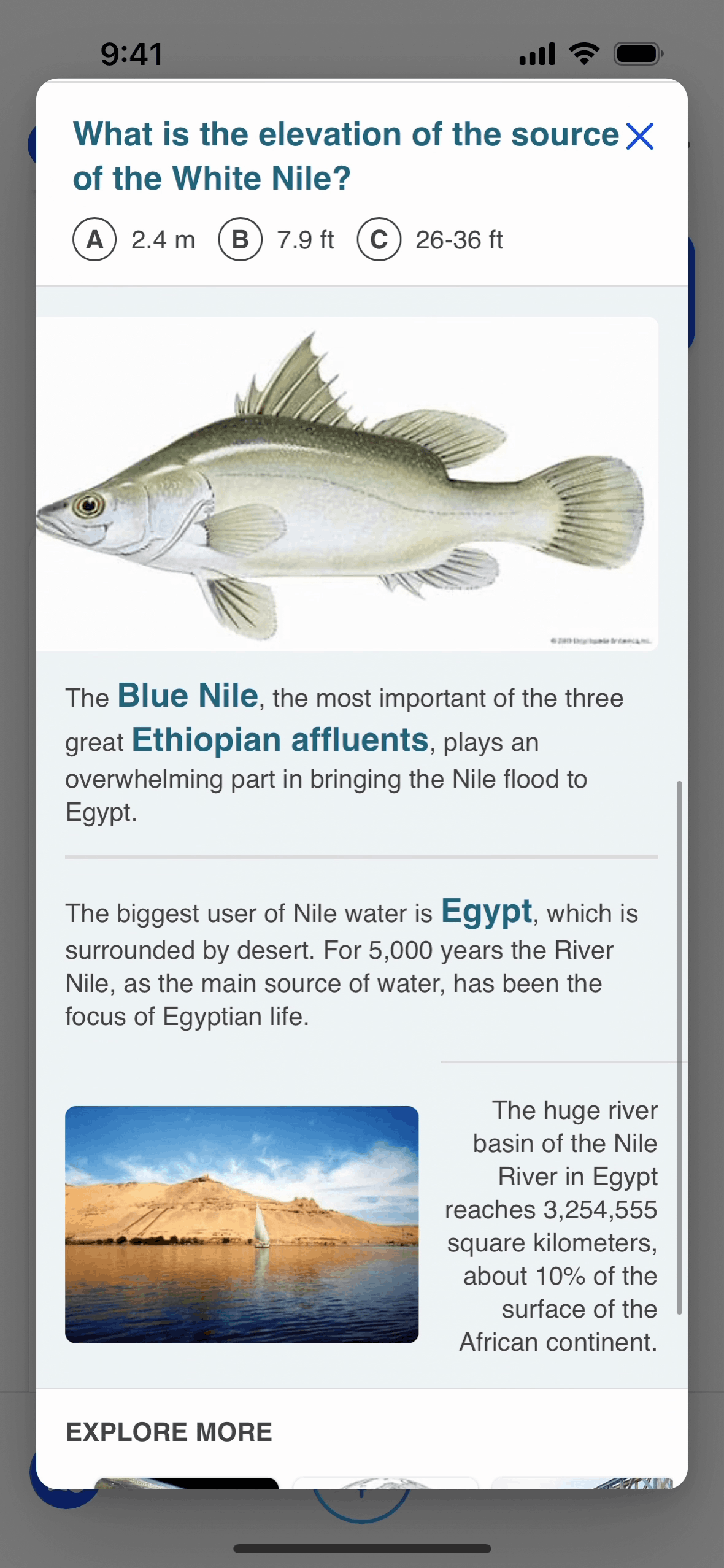 Microsoft Copilot iOS AI interface screenshot 4